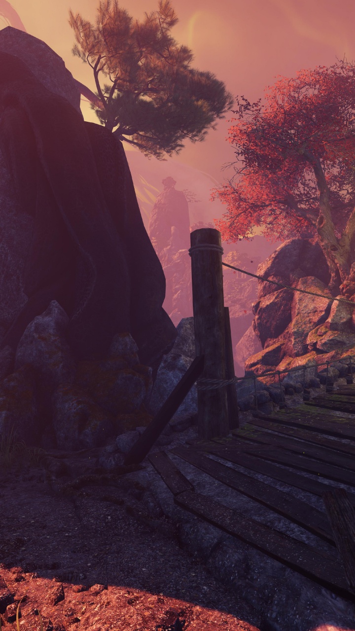 Escaleras de Madera Marrón Cerca de la Formación Rocosa Marrón Durante la Puesta de Sol. Wallpaper in 720x1280 Resolution