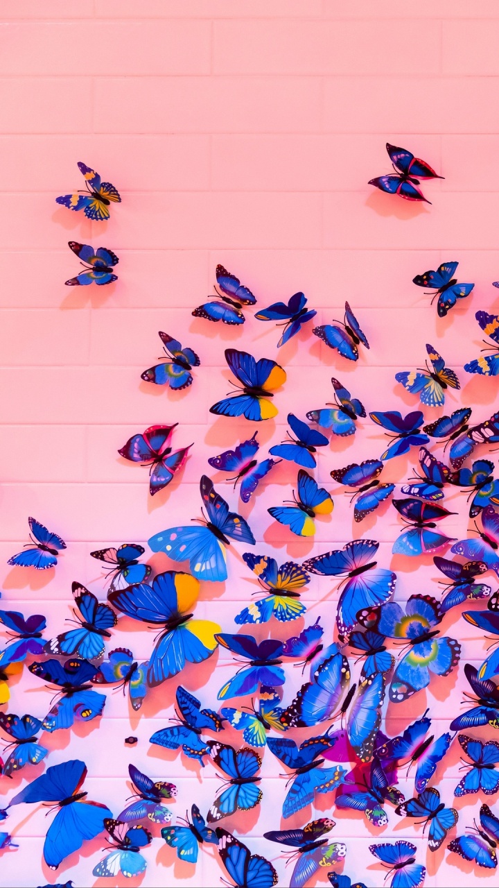 Butterflies, Design, Funny Firework Game, Insects, Blue. Wallpaper in 720x1280 Resolution