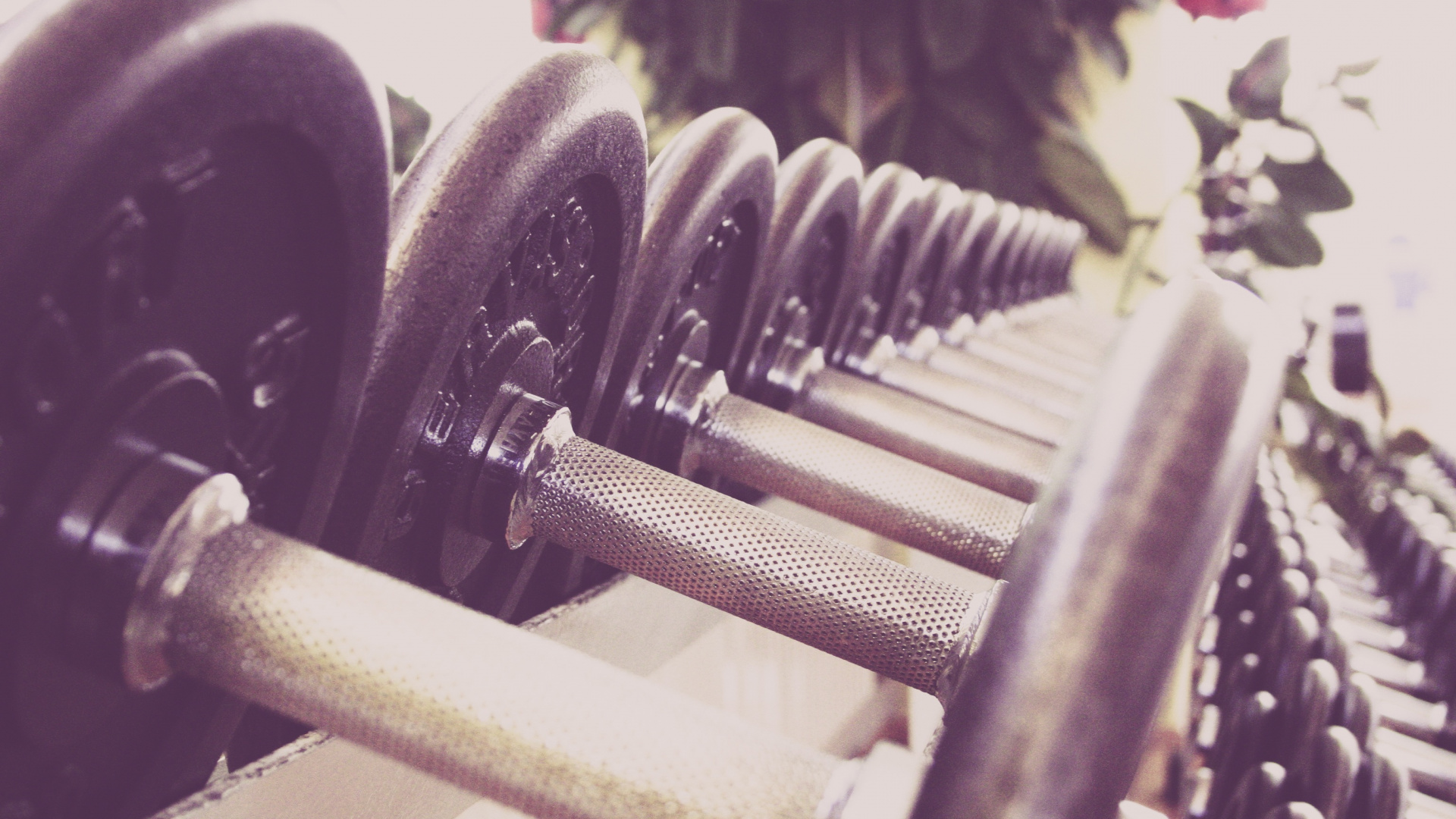 Black and Gray Dumbbells on Rack. Wallpaper in 1920x1080 Resolution
