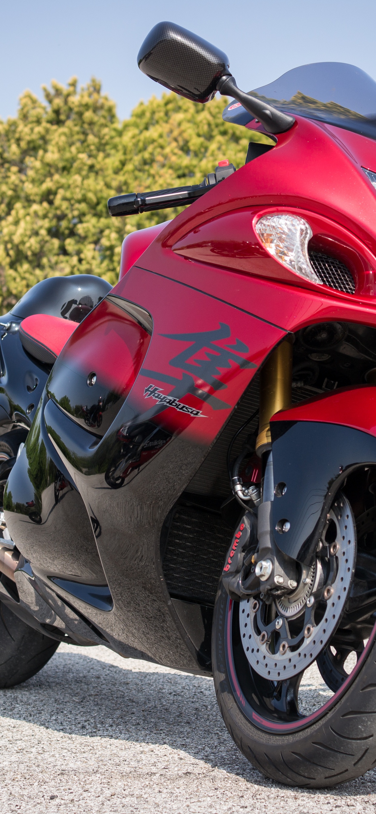 Vélo de Sport, Triomphe Tigre 900 Rallye, Roue, Pneu, Automobile Pneu. Wallpaper in 1242x2688 Resolution