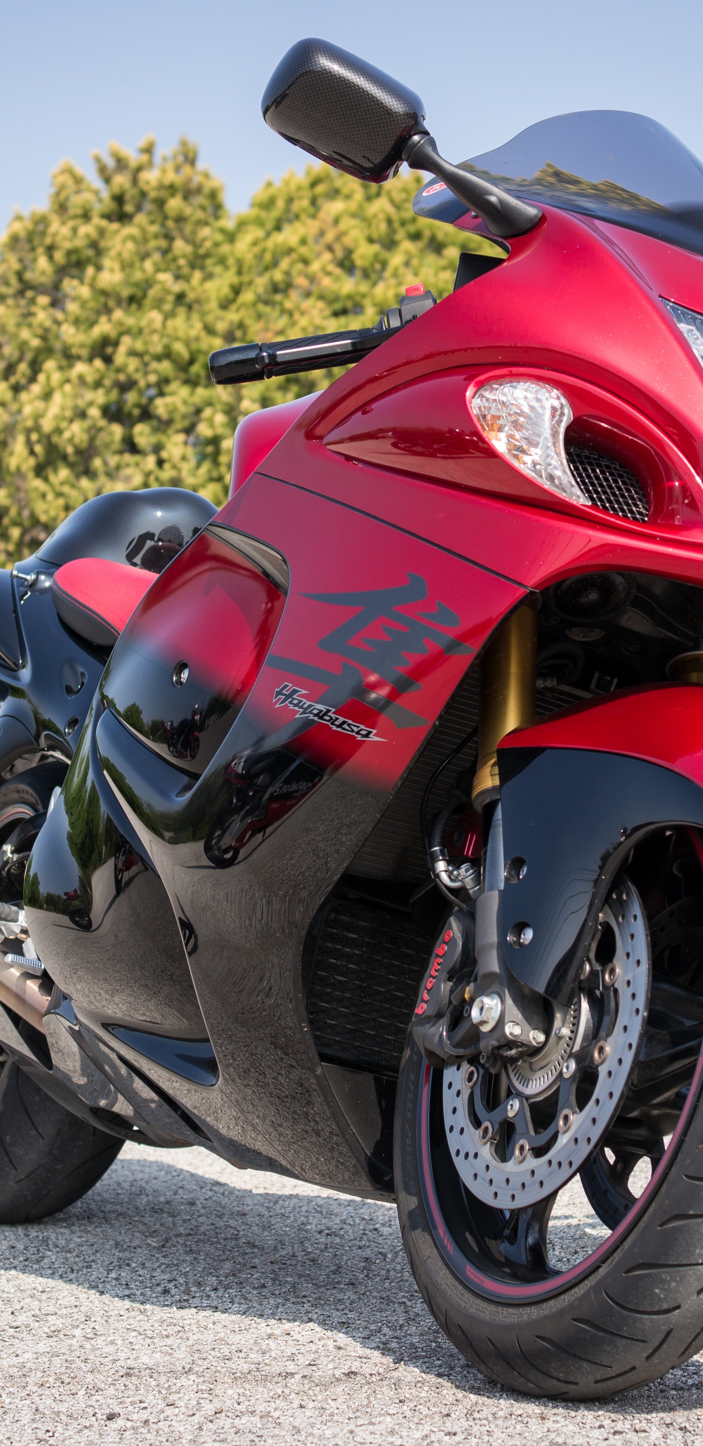 Vélo de Sport, Triomphe Tigre 900 Rallye, Roue, Pneu, Automobile Pneu. Wallpaper in 1440x2960 Resolution