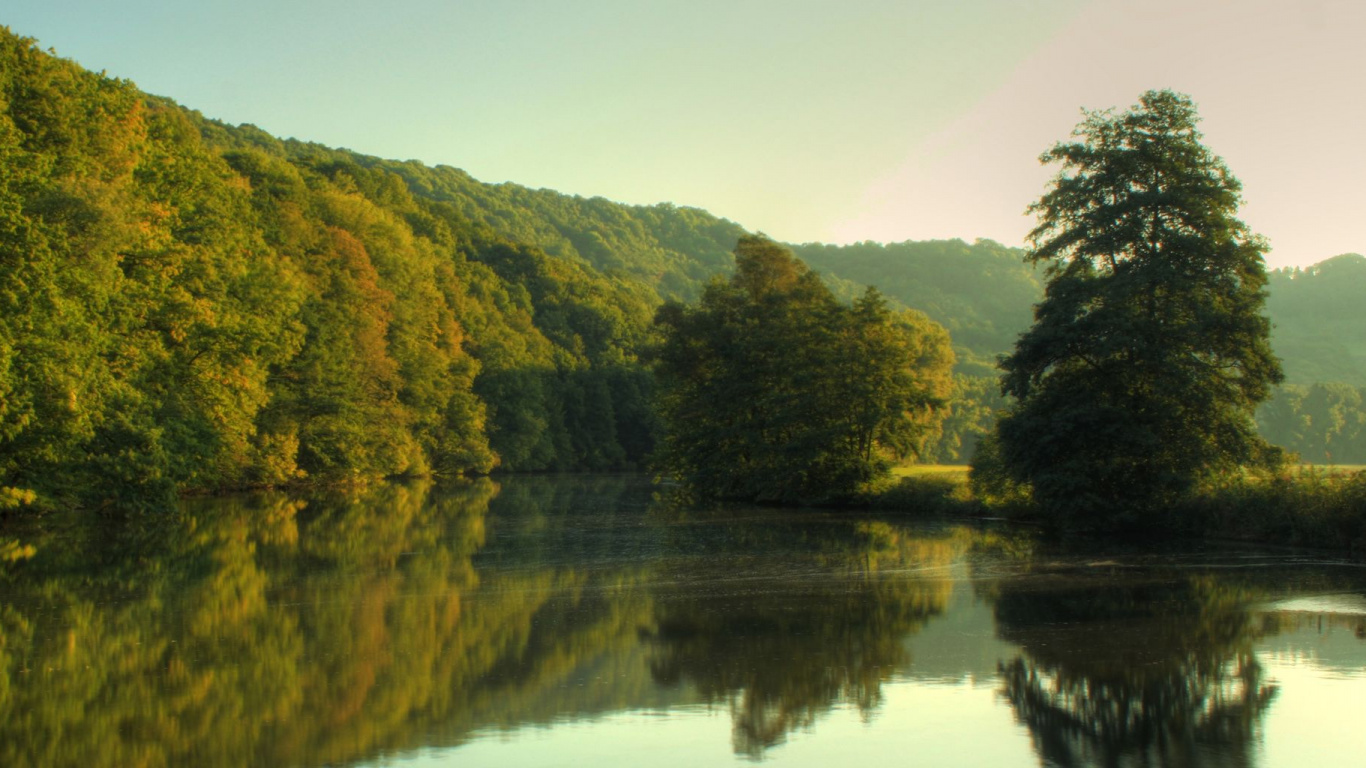 Arbres Verts à Côté D'un Plan D'eau Pendant la Journée. Wallpaper in 1366x768 Resolution