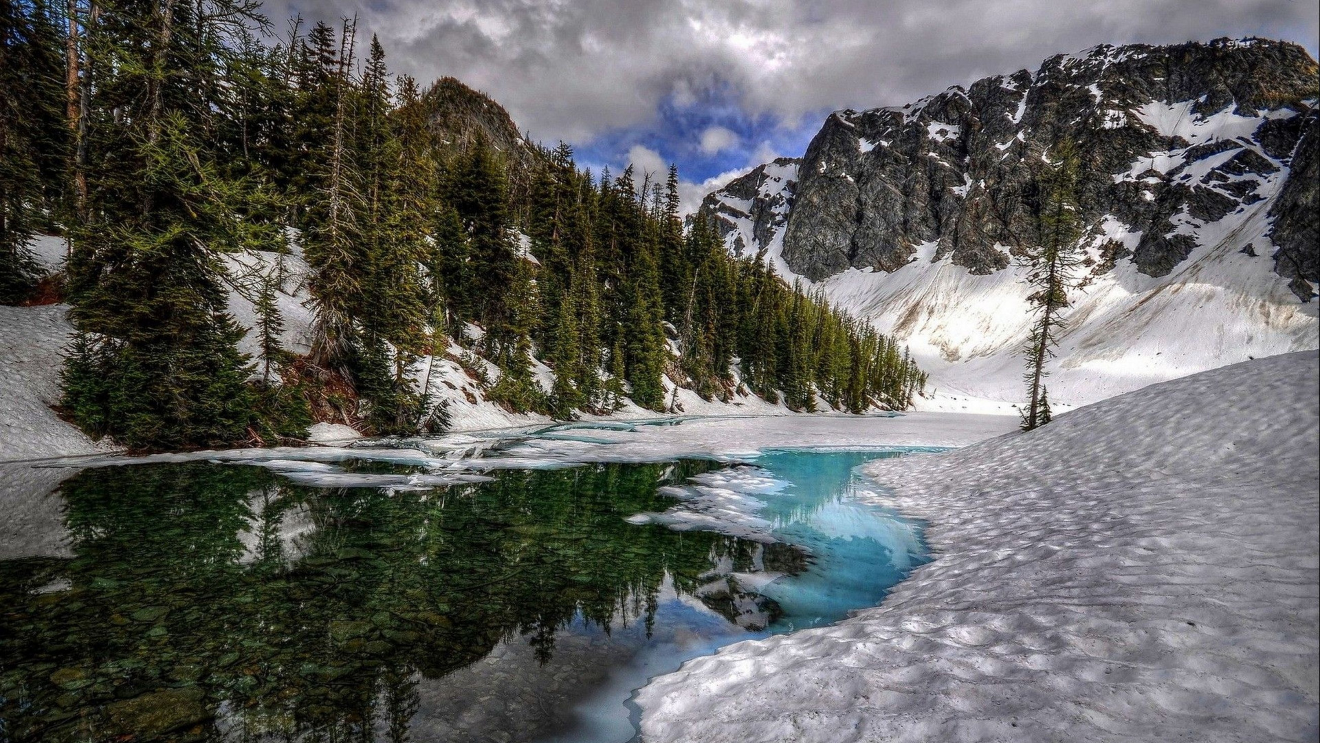 Green Pine Trees Near Snow Covered Mountain During Daytime. Wallpaper in 1920x1080 Resolution