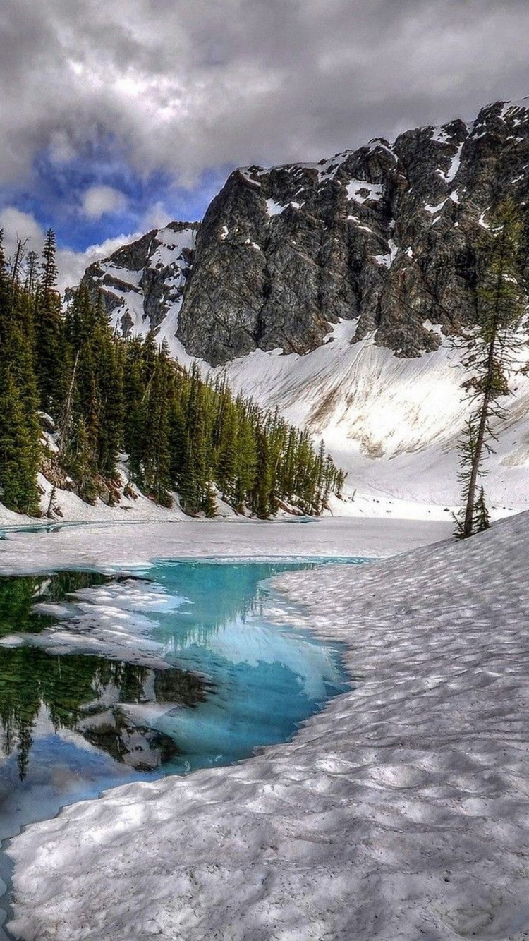 Green Pine Trees Near Snow Covered Mountain During Daytime. Wallpaper in 750x1334 Resolution