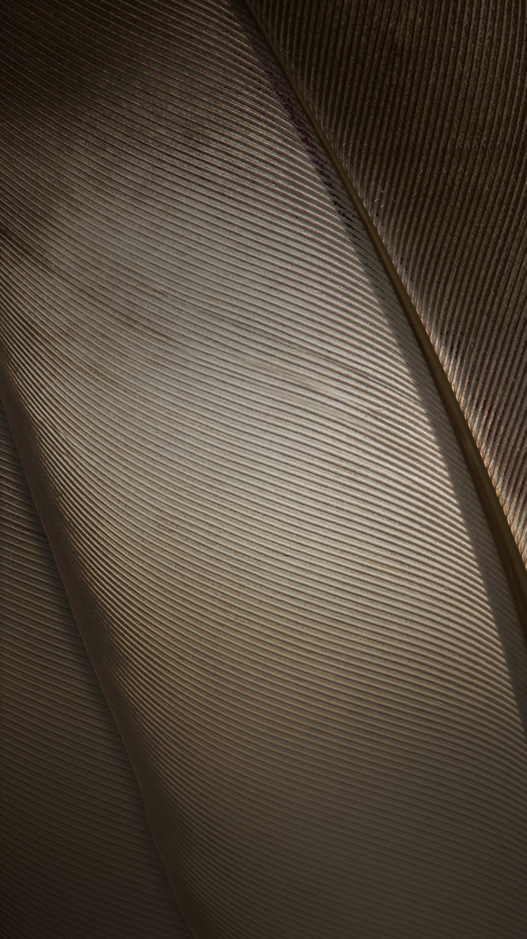 ZTE, ZTE Nubia Z11, Luz, Nubia Z11, Nubia. Wallpaper in 750x1334 Resolution