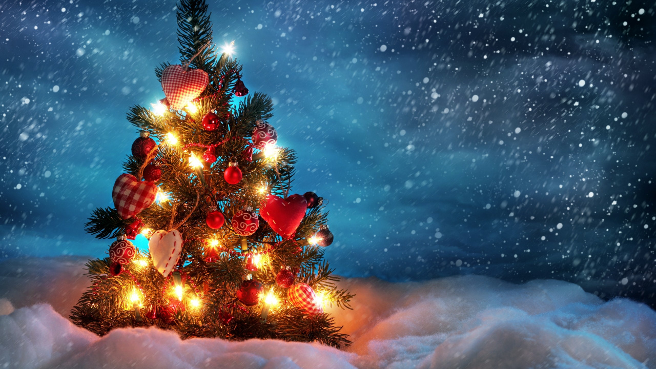 Christmas Day, Christmas Tree, Tree, Christmas, Winter. Wallpaper in 1280x720 Resolution