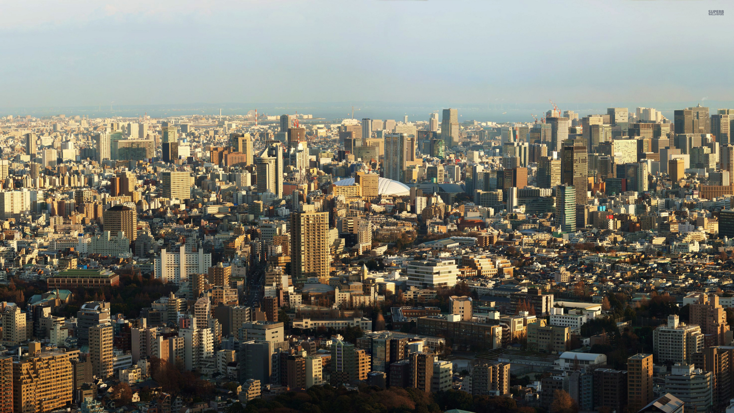 Aerial View of City Buildings During Daytime. Wallpaper in 2560x1440 Resolution