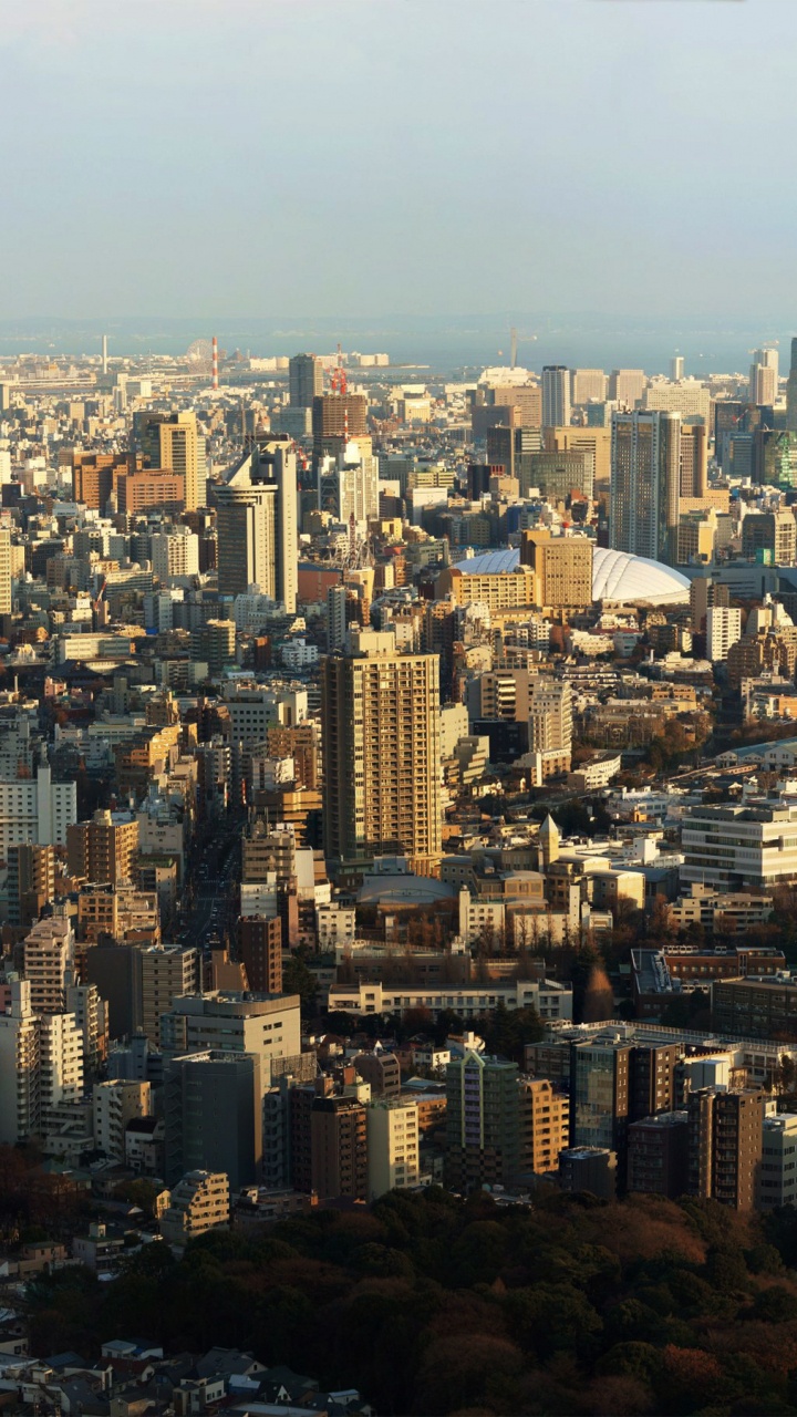 Aerial View of City Buildings During Daytime. Wallpaper in 720x1280 Resolution