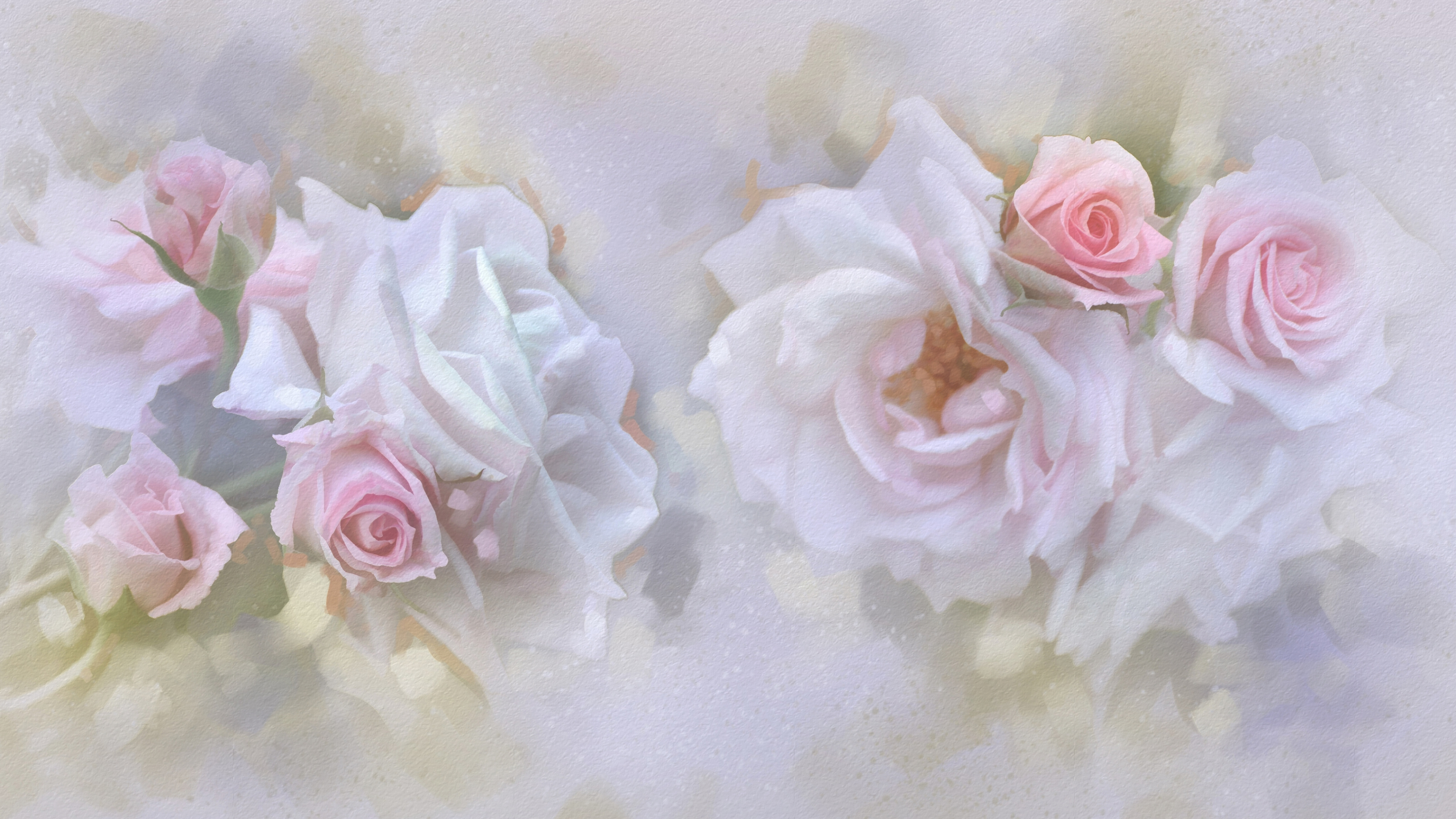 Weiße Und Rosa Rosen Auf Weißem Textil. Wallpaper in 3840x2160 Resolution