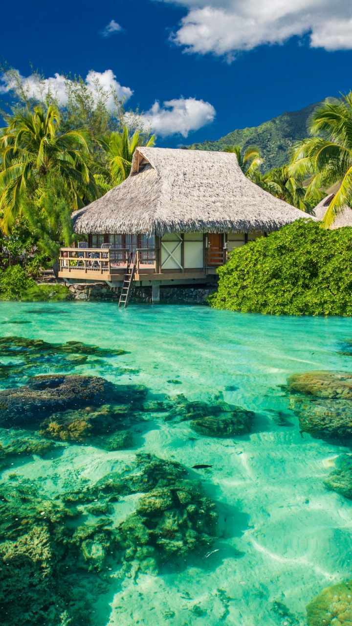 Maison Brune et Blanche Sur L'eau Verte Sous Ciel Bleu Pendant la Journée. Wallpaper in 720x1280 Resolution