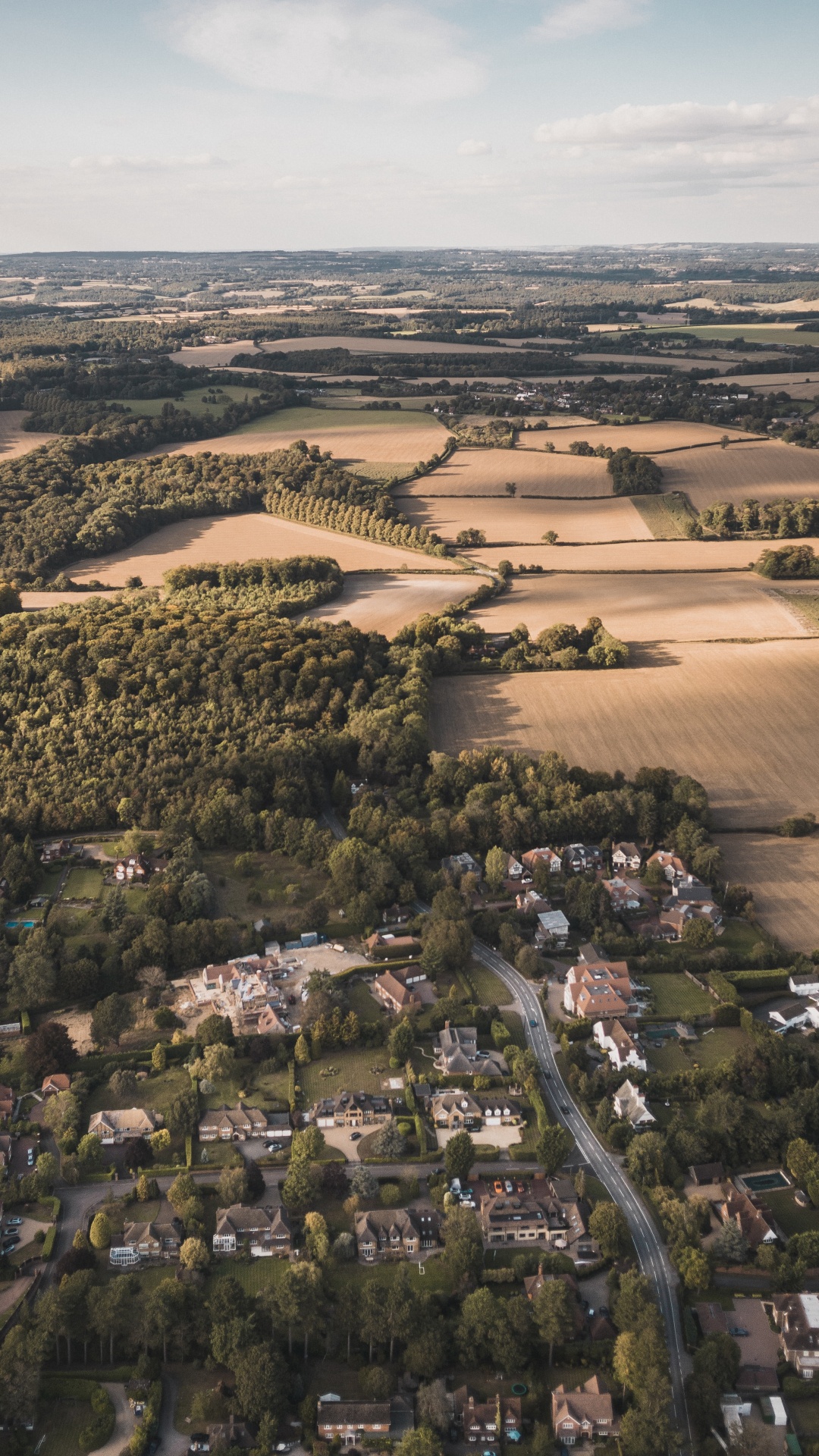 Aerial View of Green Trees and Brown Field During Daytime. Wallpaper in 1080x1920 Resolution