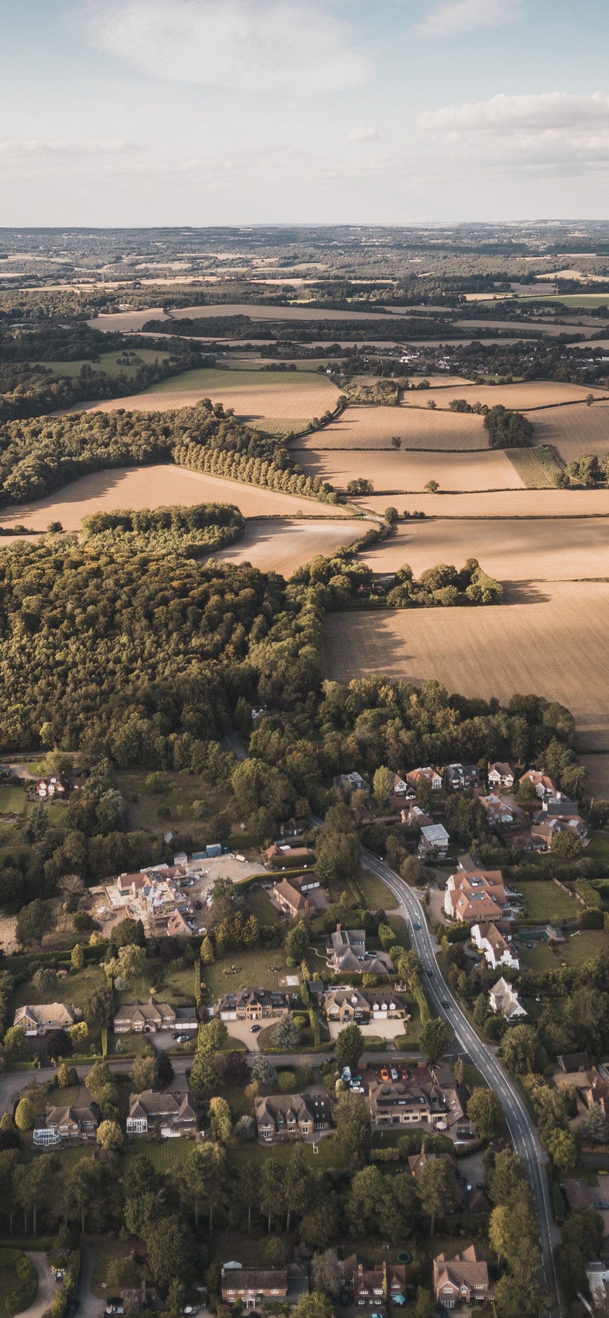 Aerial View of Green Trees and Brown Field During Daytime. Wallpaper in 1242x2688 Resolution