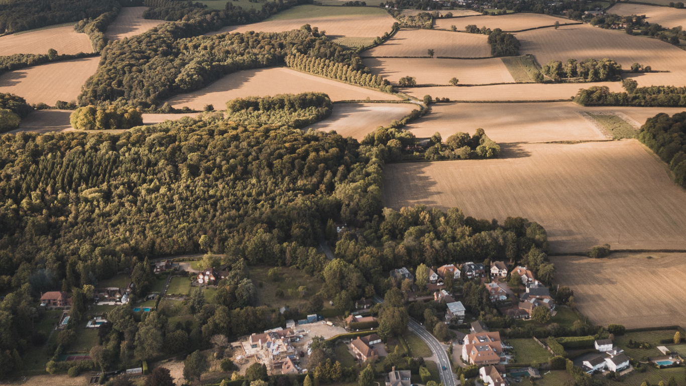 Aerial View of Green Trees and Brown Field During Daytime. Wallpaper in 1366x768 Resolution