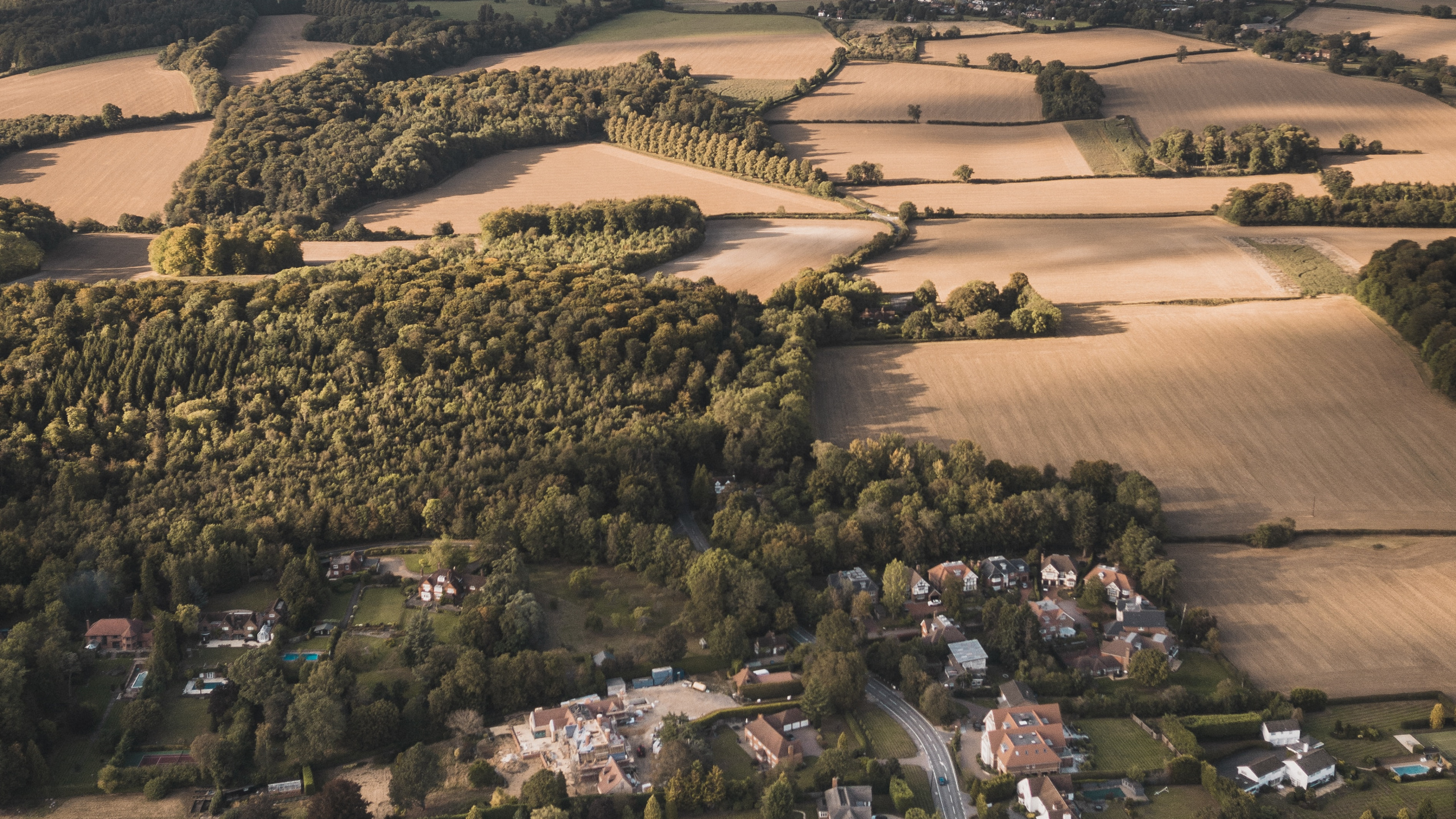 Aerial View of Green Trees and Brown Field During Daytime. Wallpaper in 2560x1440 Resolution