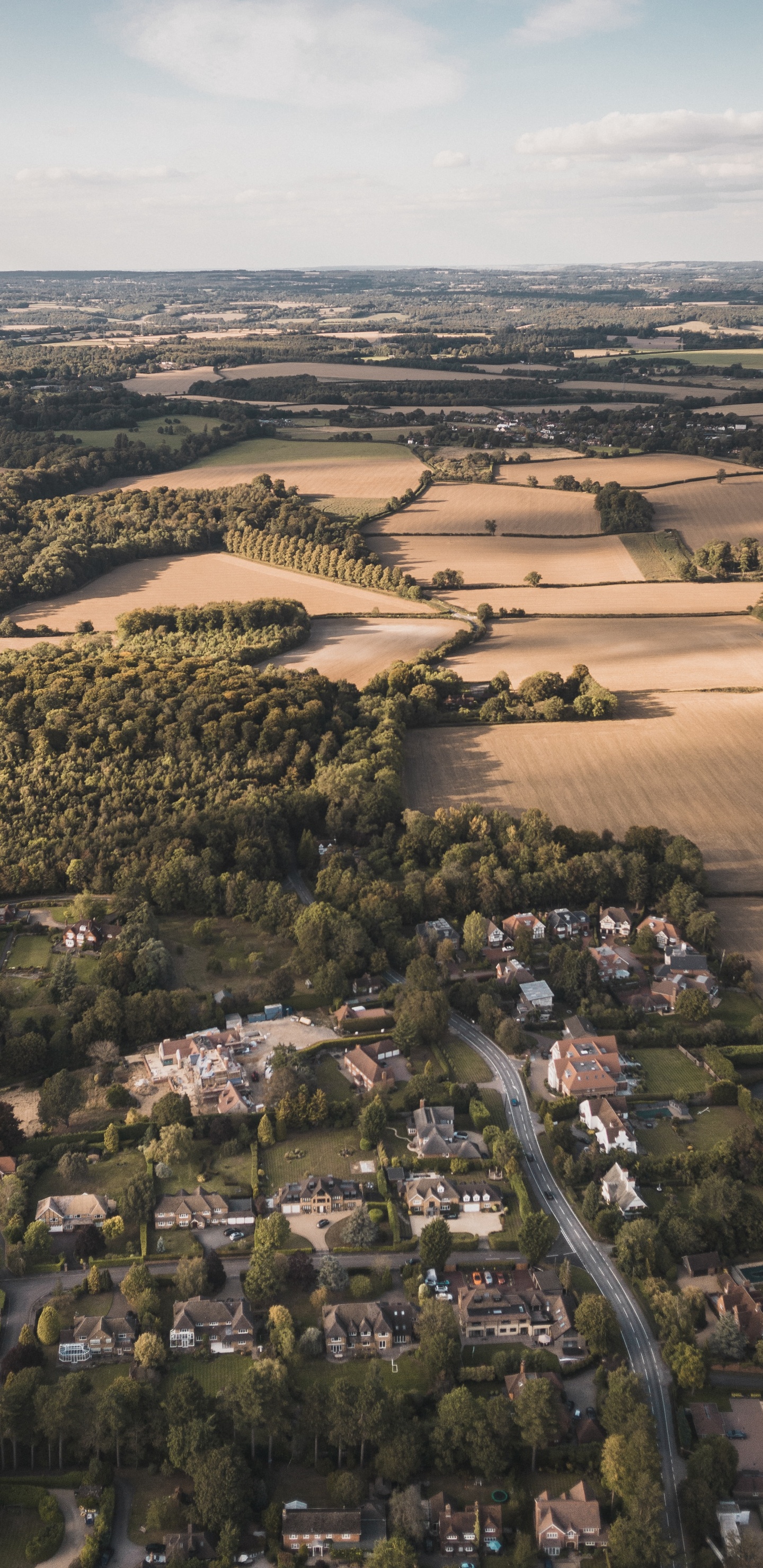 Vue Aérienne Des Arbres Verts et du Champ Brun Pendant la Journée. Wallpaper in 1440x2960 Resolution