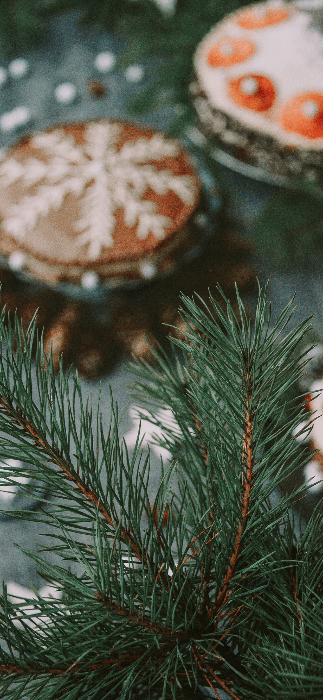 Sapin, Plantes Ligneuses, Spruce, Pin, Famille Des Pins. Wallpaper in 1242x2688 Resolution