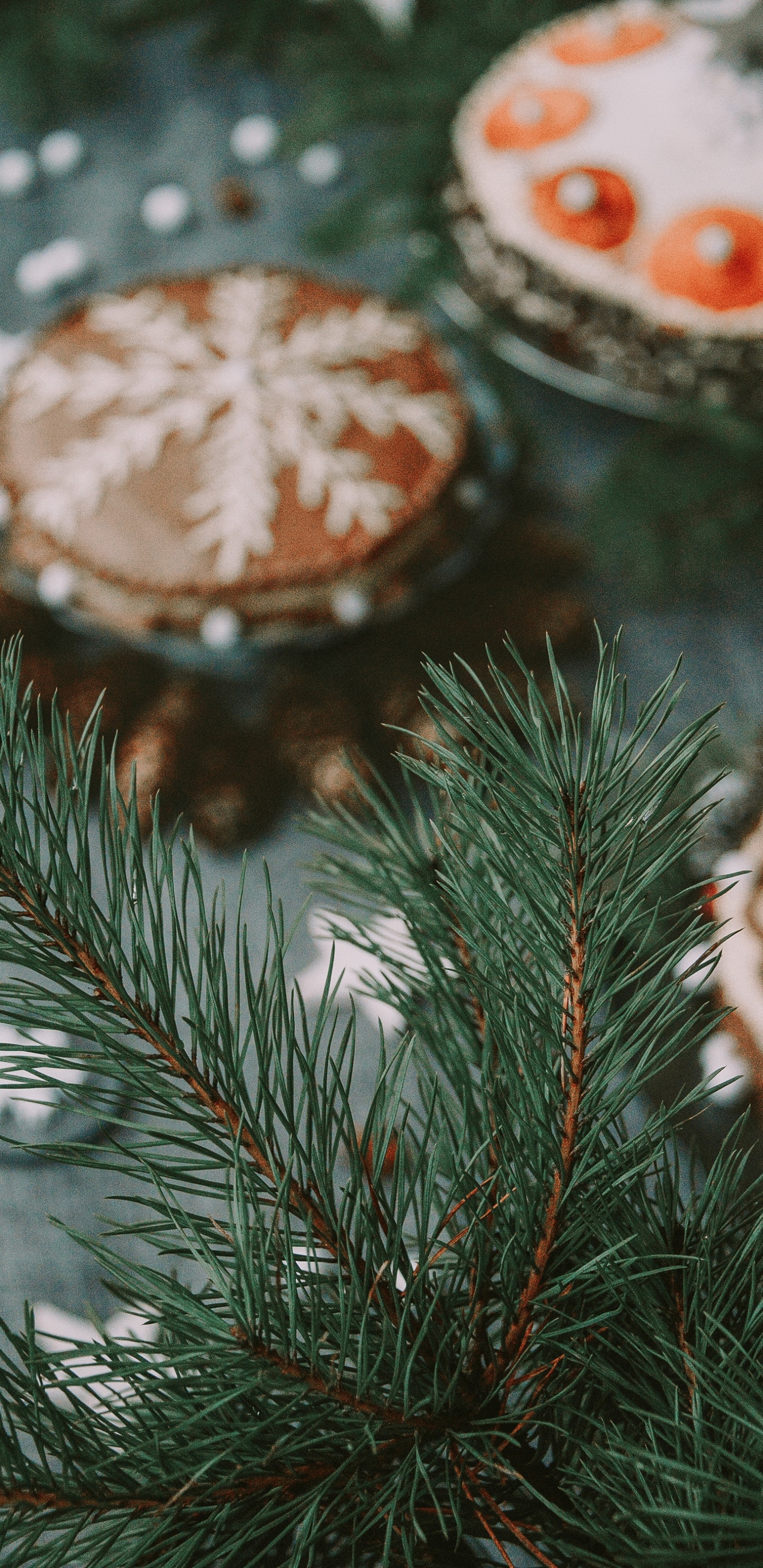 Sapin, Plantes Ligneuses, Spruce, Pin, Famille Des Pins. Wallpaper in 1440x2960 Resolution