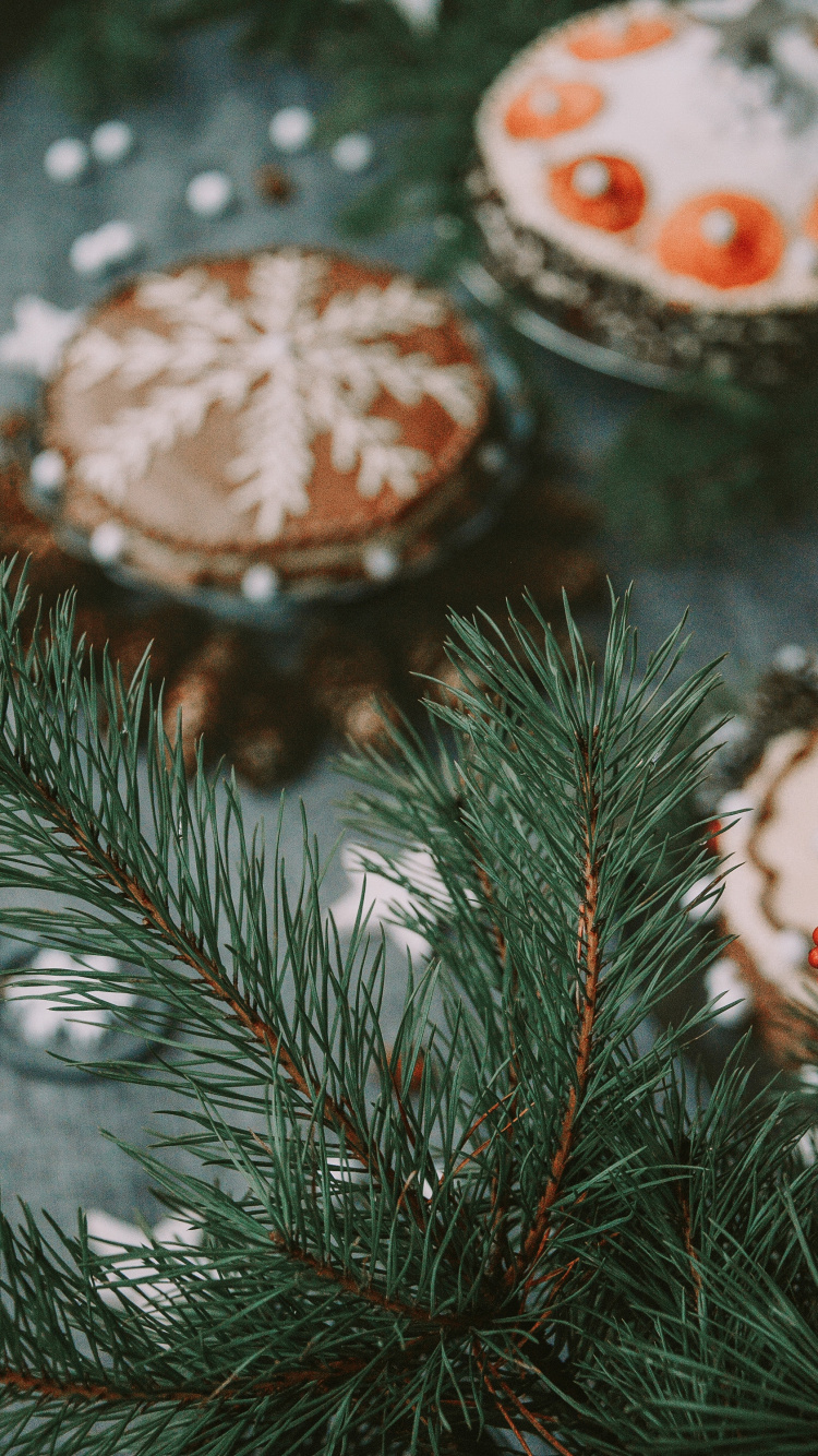 Sapin, Plantes Ligneuses, Spruce, Pin, Famille Des Pins. Wallpaper in 750x1334 Resolution