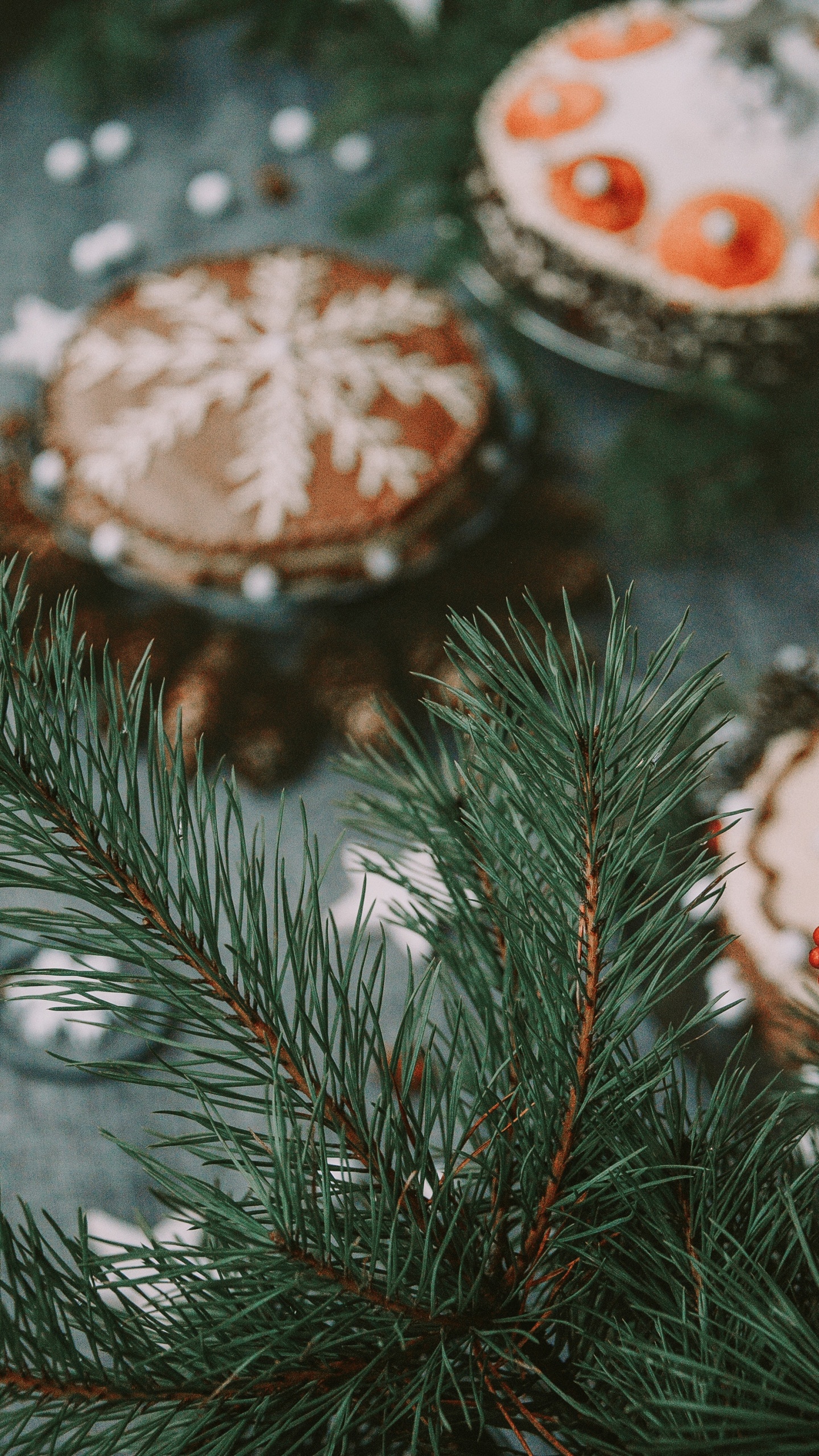 Tree, Branch, Christmas, Fir, Woody Plant. Wallpaper in 1440x2560 Resolution