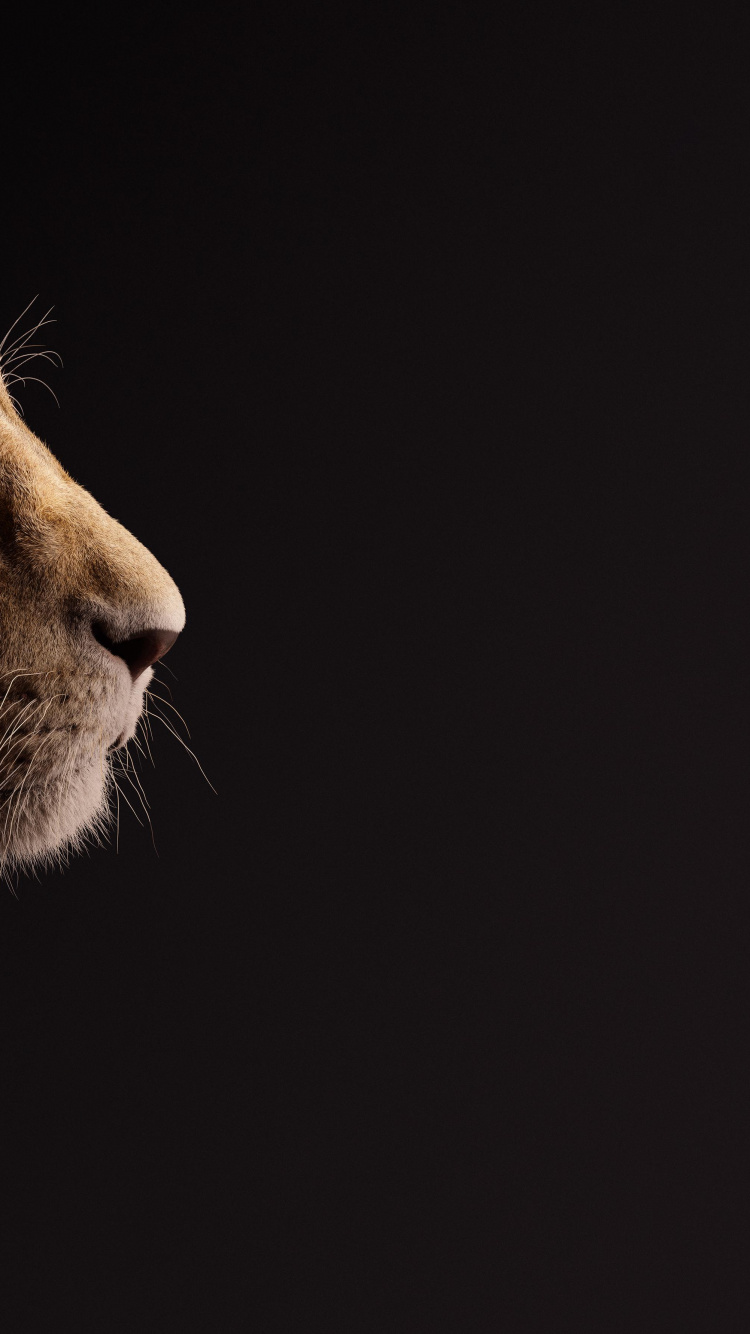 Le Roi Lion, Nala, Lion, Simba, le Roi Lion le Cadeau. Wallpaper in 750x1334 Resolution