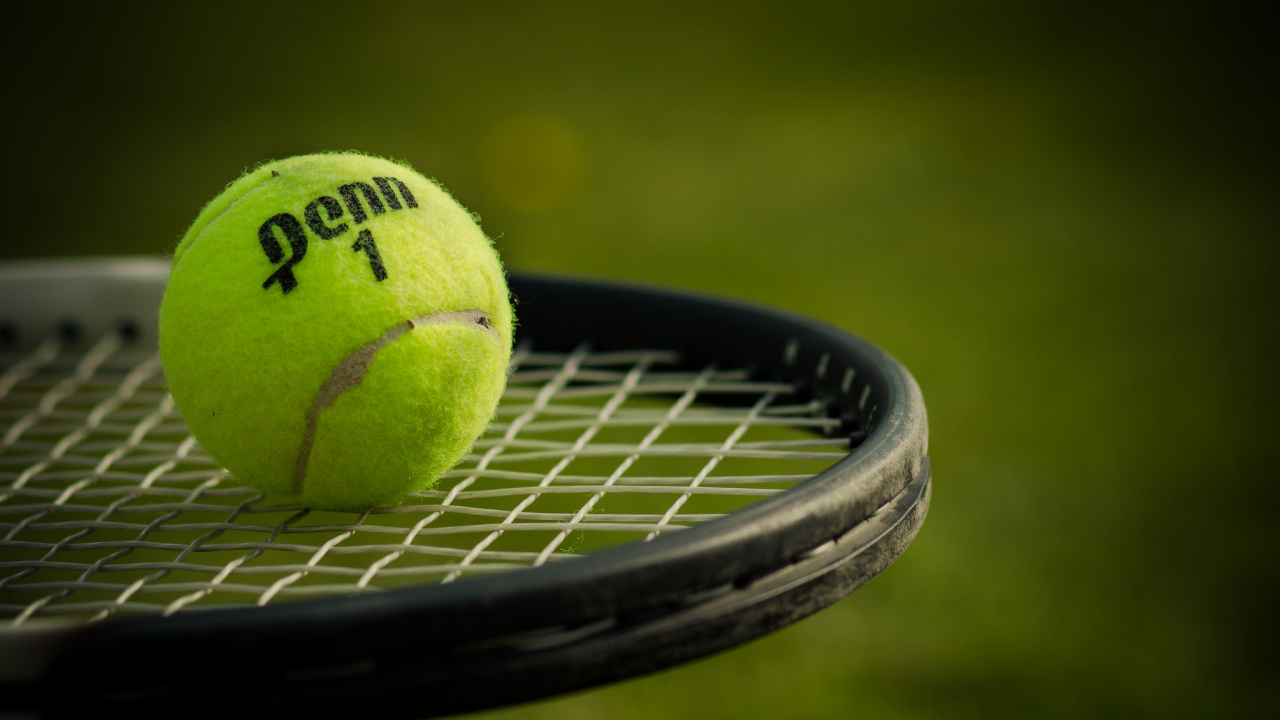 Balle de Tennis Verte Sur Filet Noir. Wallpaper in 1280x720 Resolution