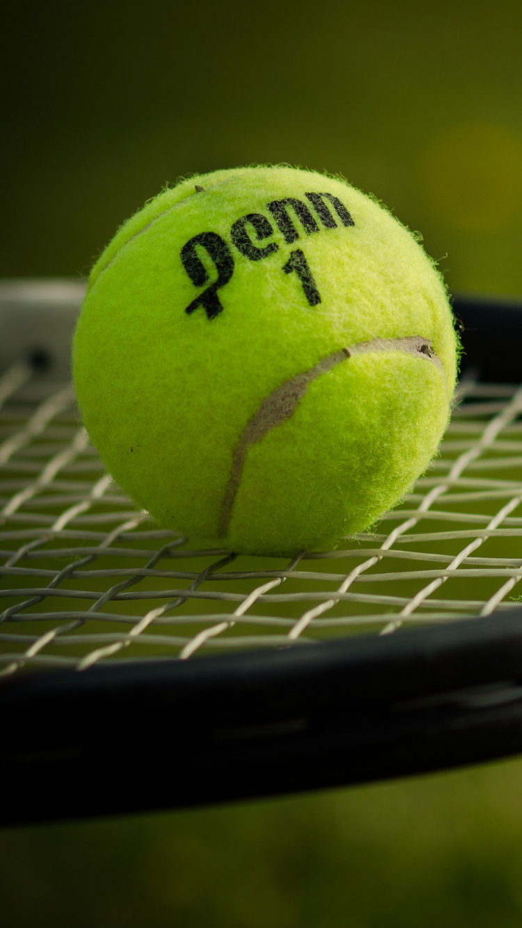 Grüner Tennisball Auf Schwarzem Netz. Wallpaper in 750x1334 Resolution