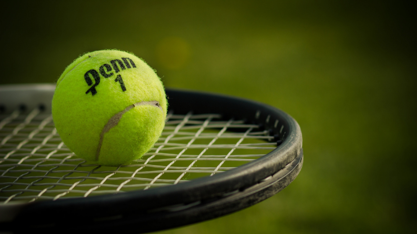Green Tennis Ball on Black Net. Wallpaper in 1366x768 Resolution