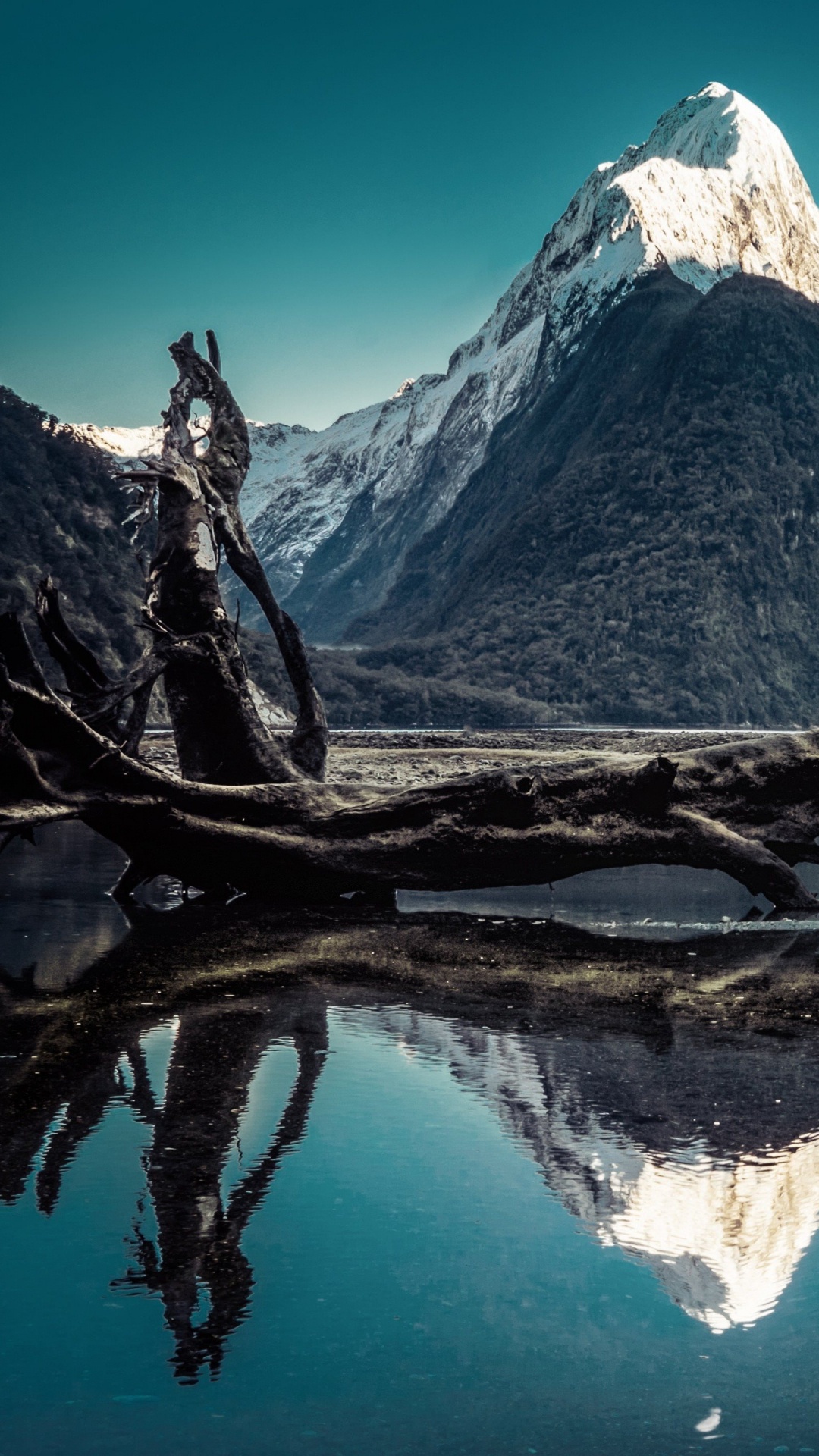 Brown Tree Branch on Body of Water Near Mountain. Wallpaper in 1080x1920 Resolution