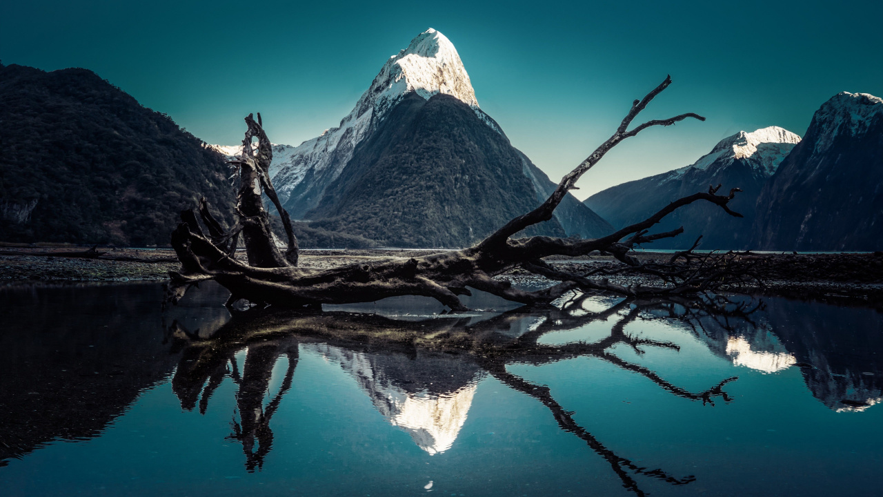 Brown Tree Branch on Body of Water Near Mountain. Wallpaper in 1280x720 Resolution