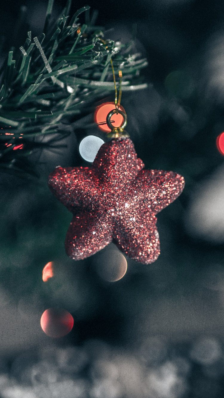 Ornament, Christmas Day, Christmas Decoration, Christmas Tree, Christmas Ornament. Wallpaper in 750x1334 Resolution