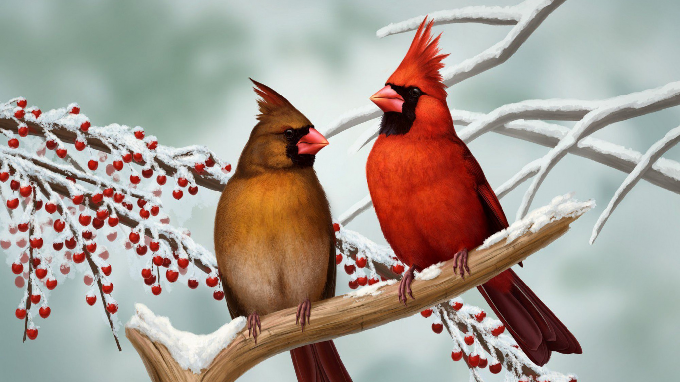 Red and Brown Bird on Tree Branch. Wallpaper in 1366x768 Resolution