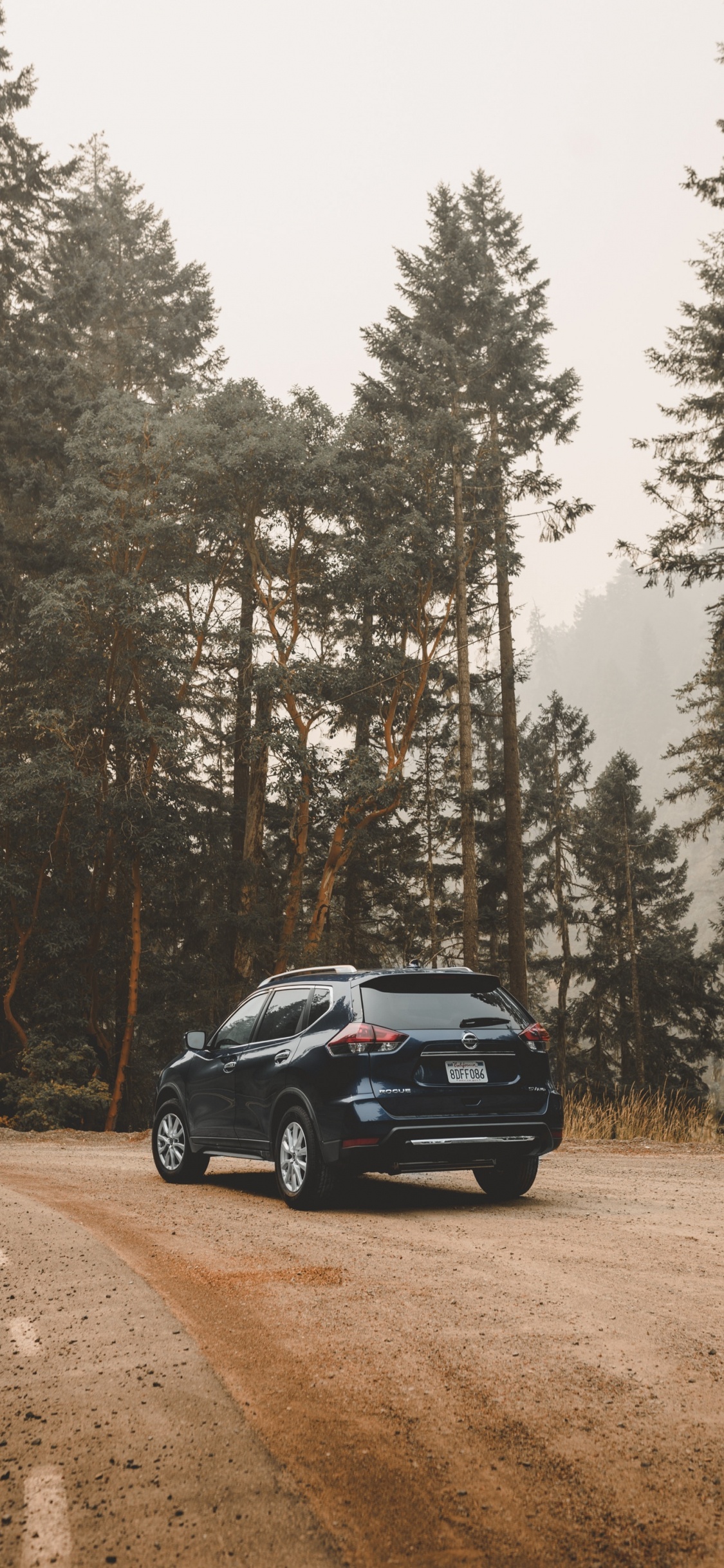 Black Car on Dirt Road Near Trees During Daytime. Wallpaper in 1125x2436 Resolution