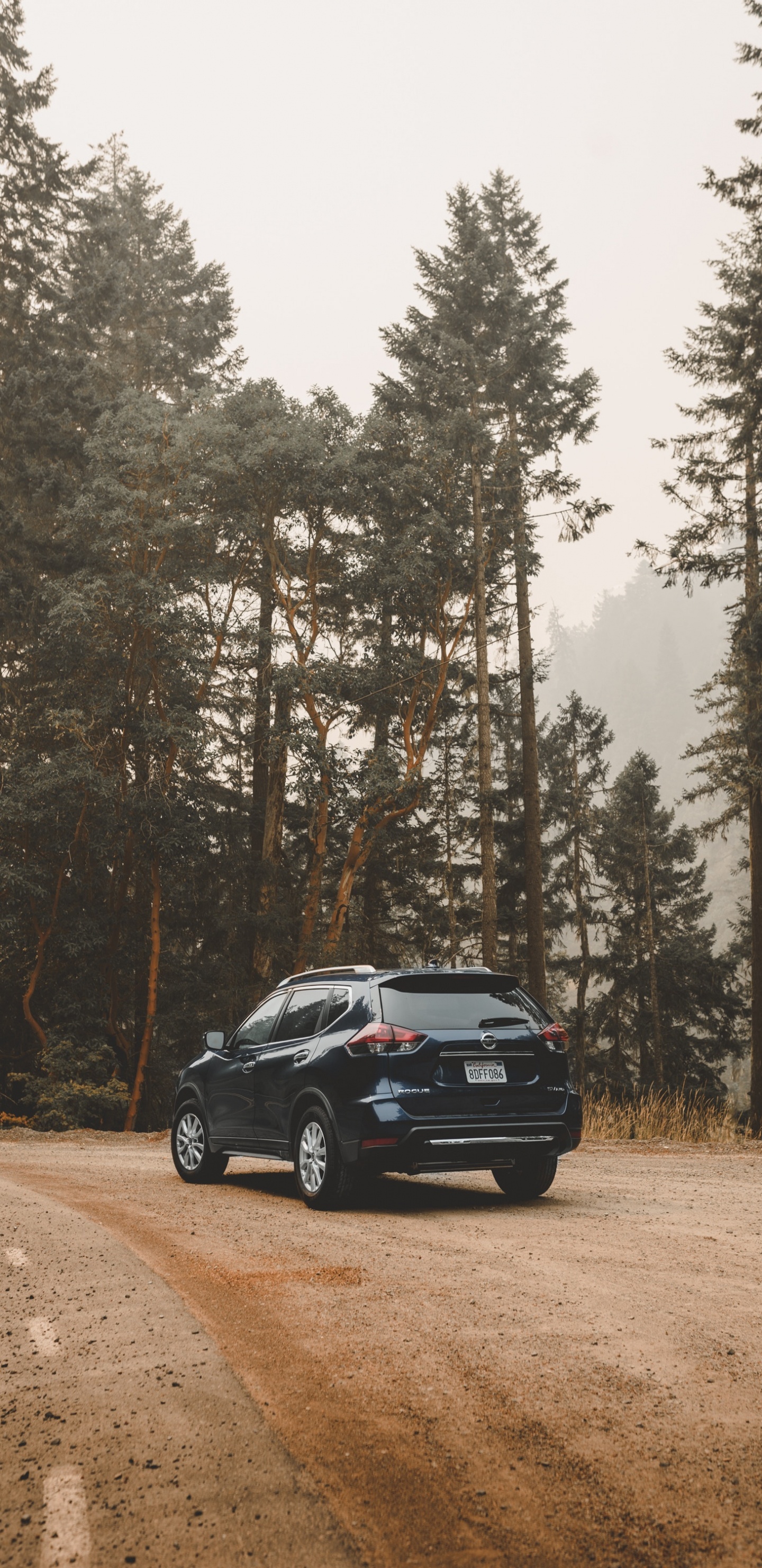 Black Car on Dirt Road Near Trees During Daytime. Wallpaper in 1440x2960 Resolution