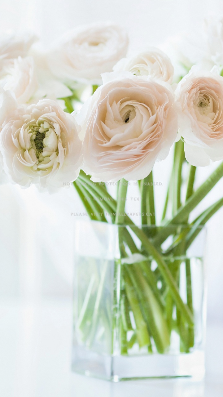 Roses Blanches Dans un Vase en Verre Transparent. Wallpaper in 720x1280 Resolution