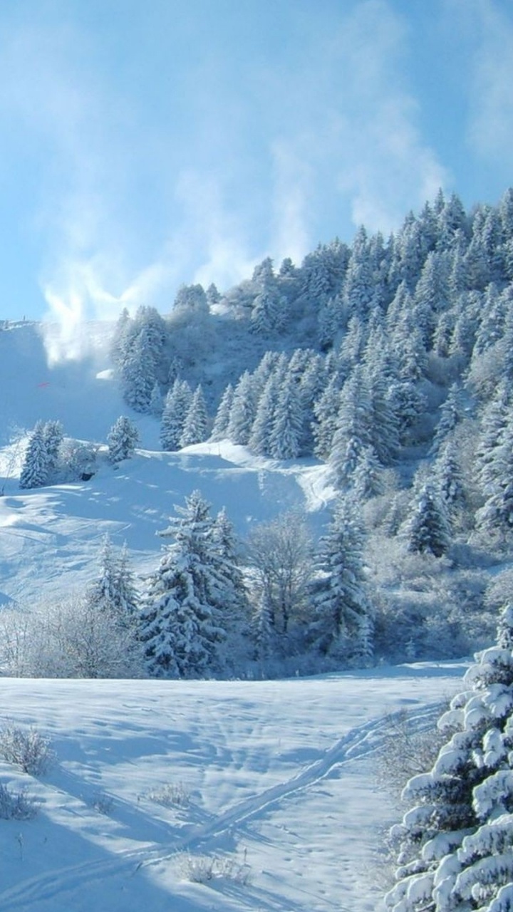 Snow Covered Trees and Mountains During Daytime. Wallpaper in 720x1280 Resolution