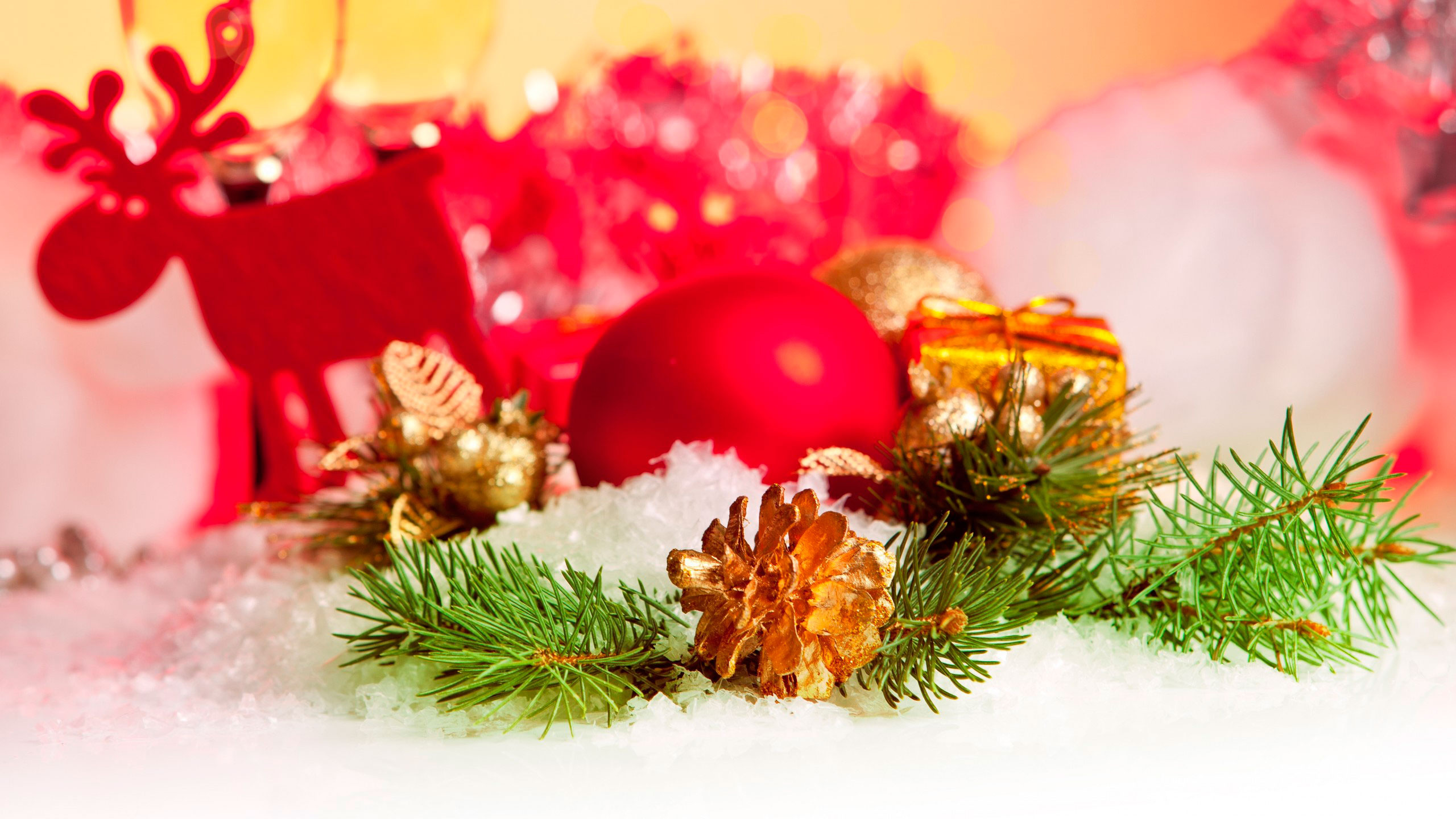 Weihnachten, Neujahr, Weihnachtsdekoration, Christmas Ornament, Fir. Wallpaper in 2560x1440 Resolution