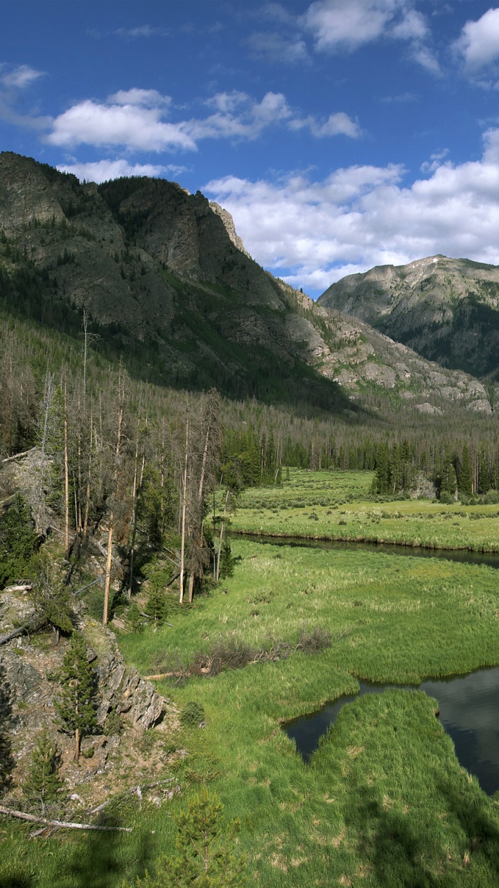 Grüne Wiese in Der Nähe Von See Und Bergen Unter Blauem Himmel Tagsüber. Wallpaper in 720x1280 Resolution