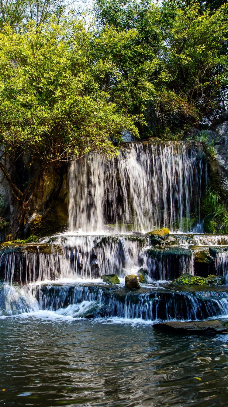L'eau Tombe au Milieu Des Arbres Verts. Wallpaper in 750x1334 Resolution