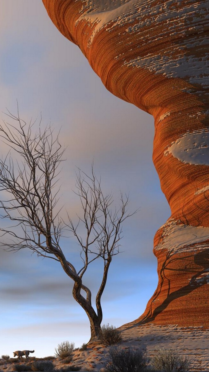 Árbol Sin Hojas Bajo el Cielo Nublado Durante el Día. Wallpaper in 720x1280 Resolution