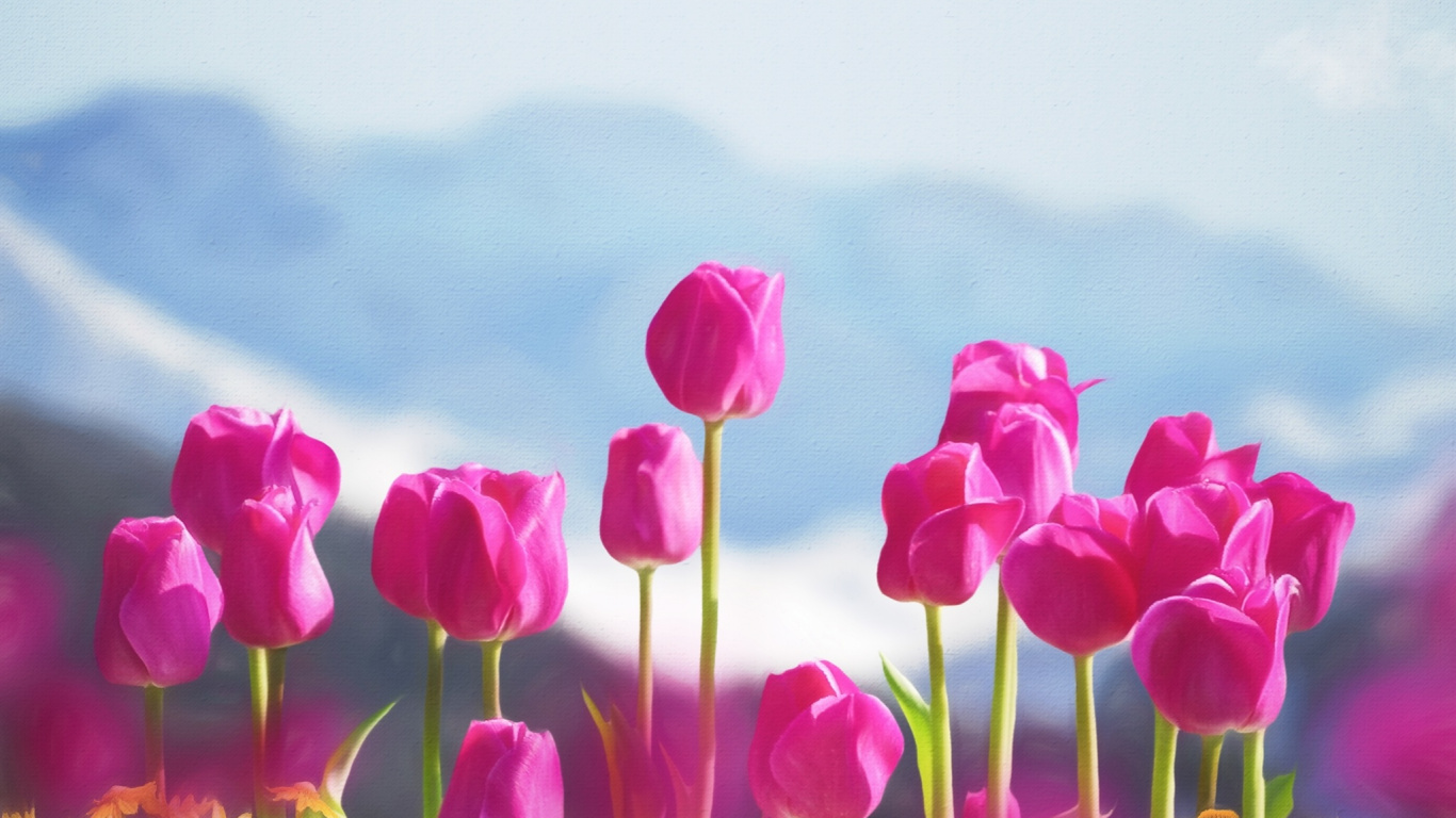 Ios, Smartphone, Cloud, Flower, Plant. Wallpaper in 1366x768 Resolution