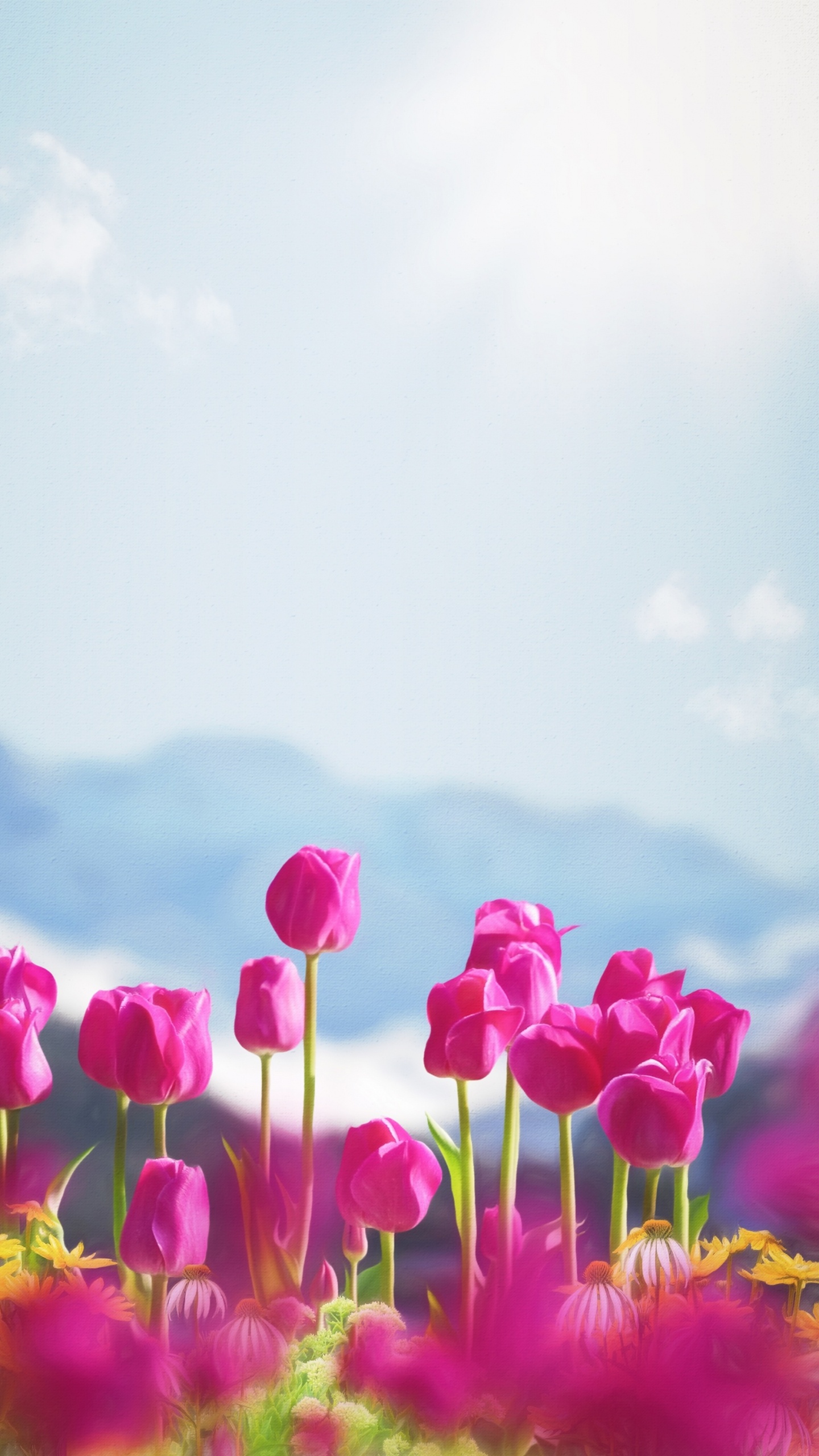 Ios, Smartphone, Cloud, Flower, Plant. Wallpaper in 1440x2560 Resolution
