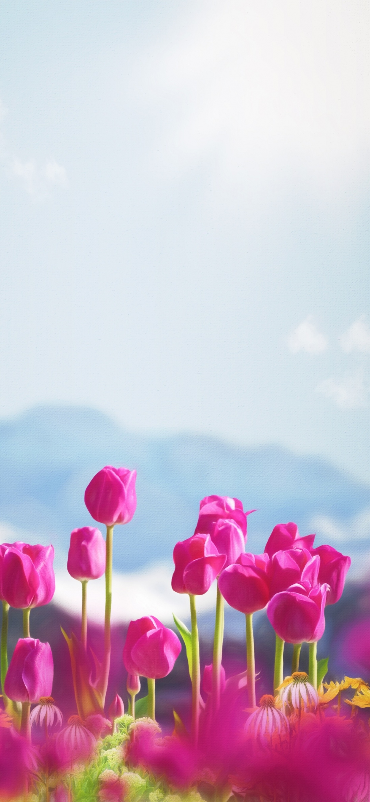 IOS, Smartphone, Pétale, Paysage Naturel, Plante Terrestre. Wallpaper in 1242x2688 Resolution