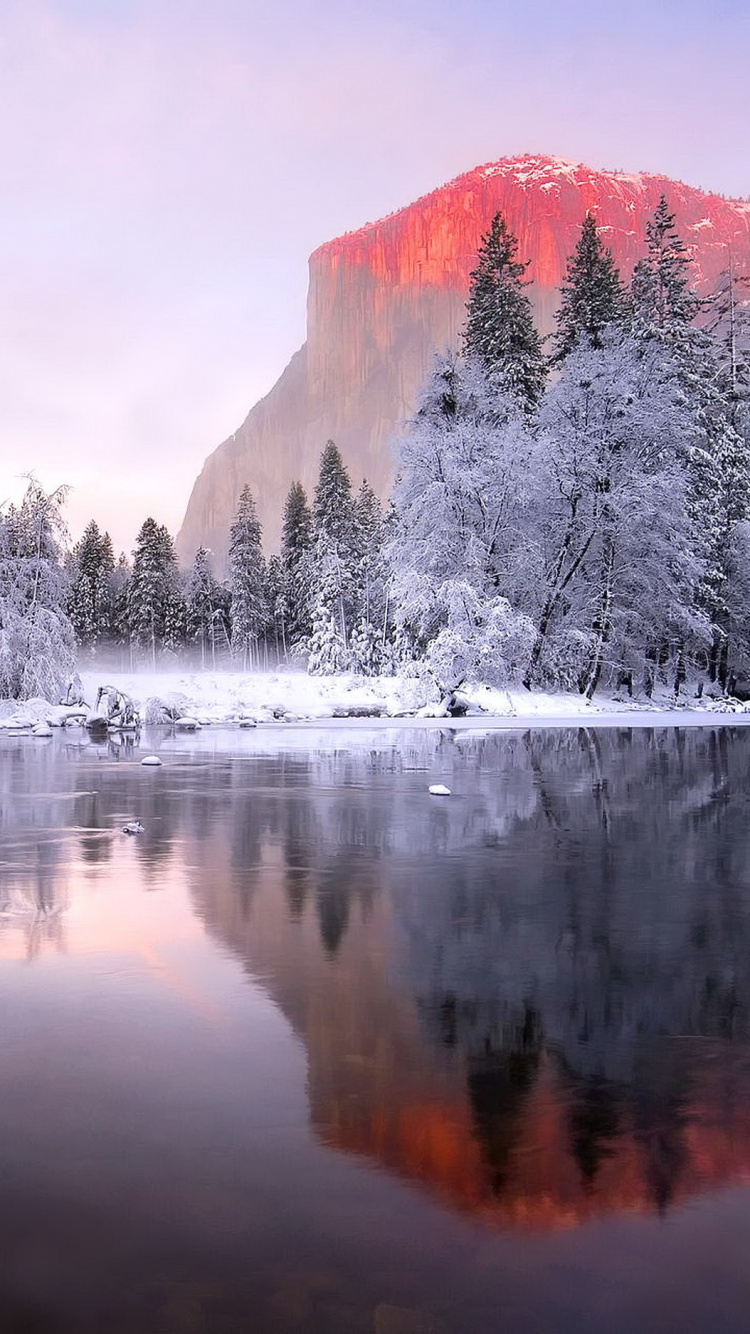 Snow Covered Trees and Mountains During Daytime. Wallpaper in 750x1334 Resolution