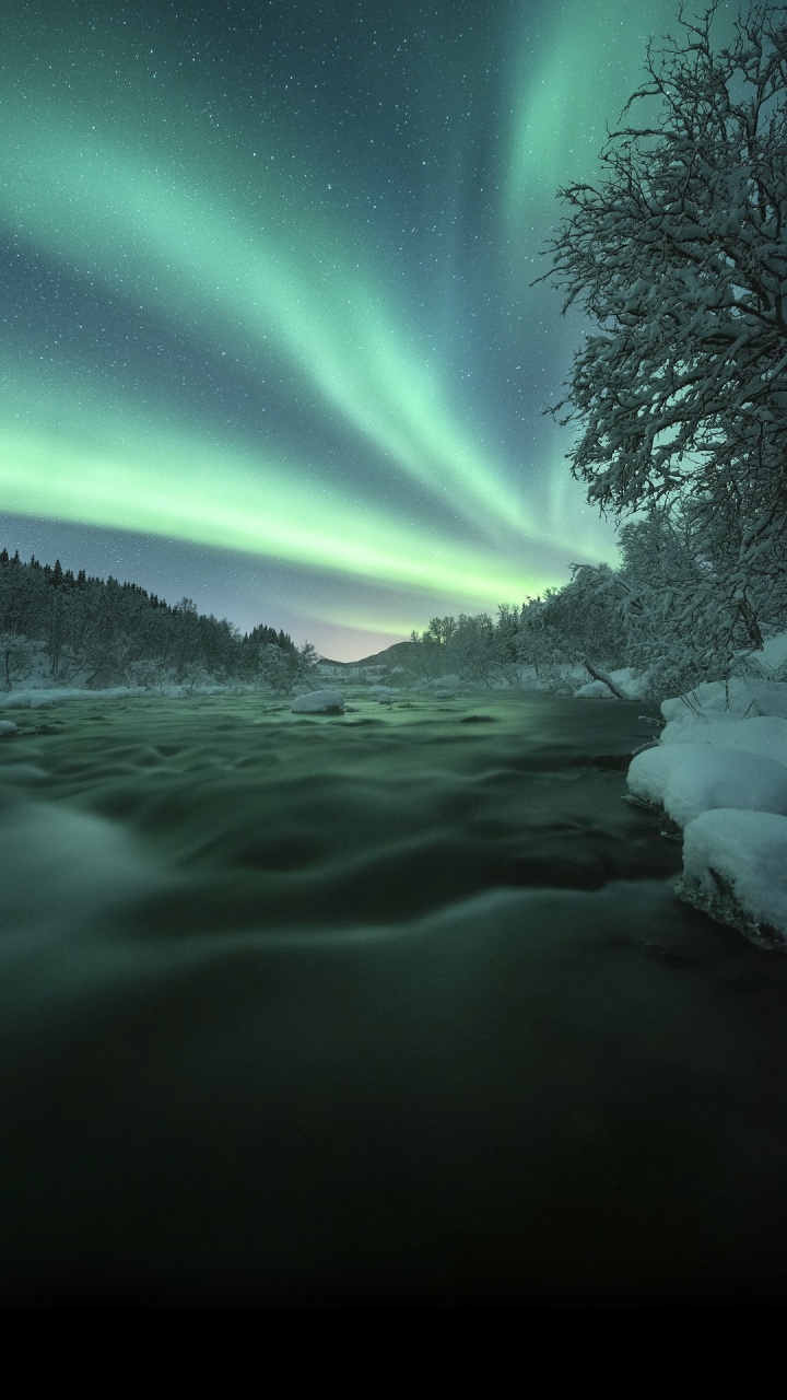 Nature, Atmosphere, Aurora, Tree, Natural Landscape. Wallpaper in 720x1280 Resolution