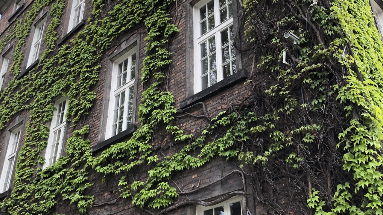 Haus, Immobilie, Mittelalterliche Architektur, Eigentumswohnung, Fenster. Wallpaper in 1280x720 Resolution