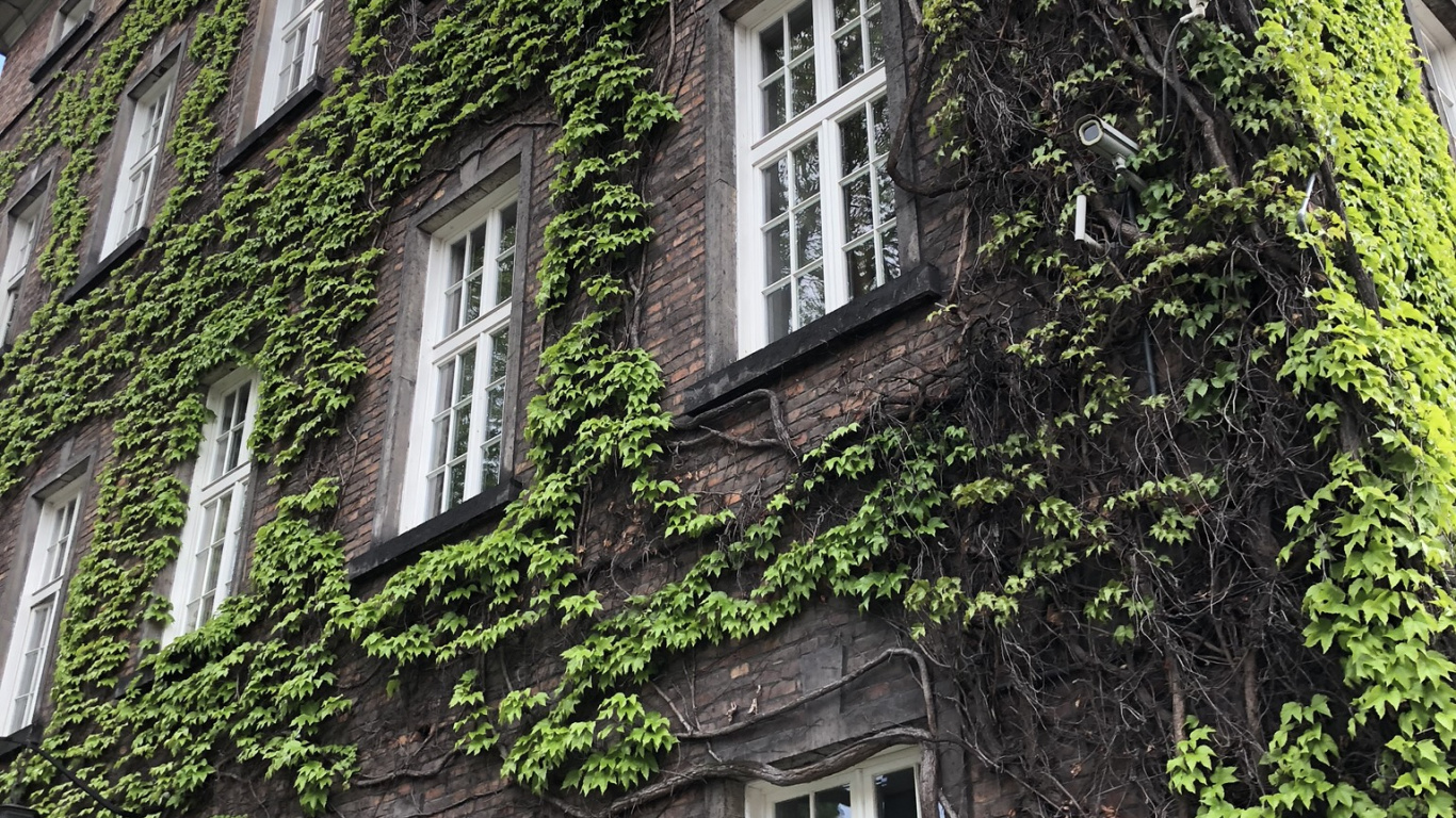 Haus, Immobilie, Mittelalterliche Architektur, Eigentumswohnung, Fenster. Wallpaper in 1366x768 Resolution