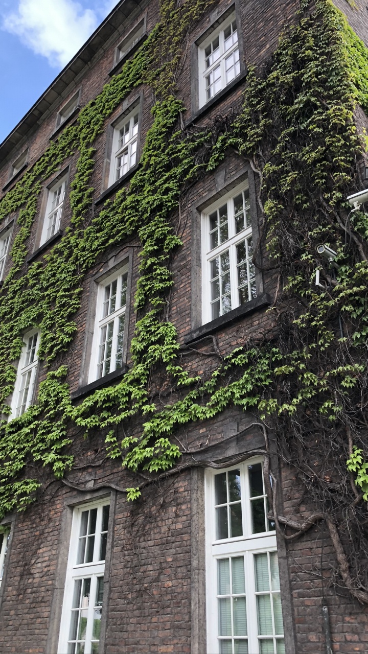 Haus, Immobilie, Mittelalterliche Architektur, Eigentumswohnung, Fenster. Wallpaper in 720x1280 Resolution