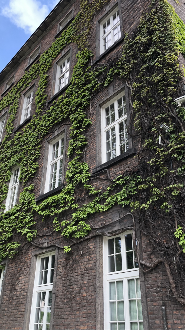 Inmueble, la Arquitectura Medieval, Condominio, Ventana, Fachada. Wallpaper in 750x1334 Resolution