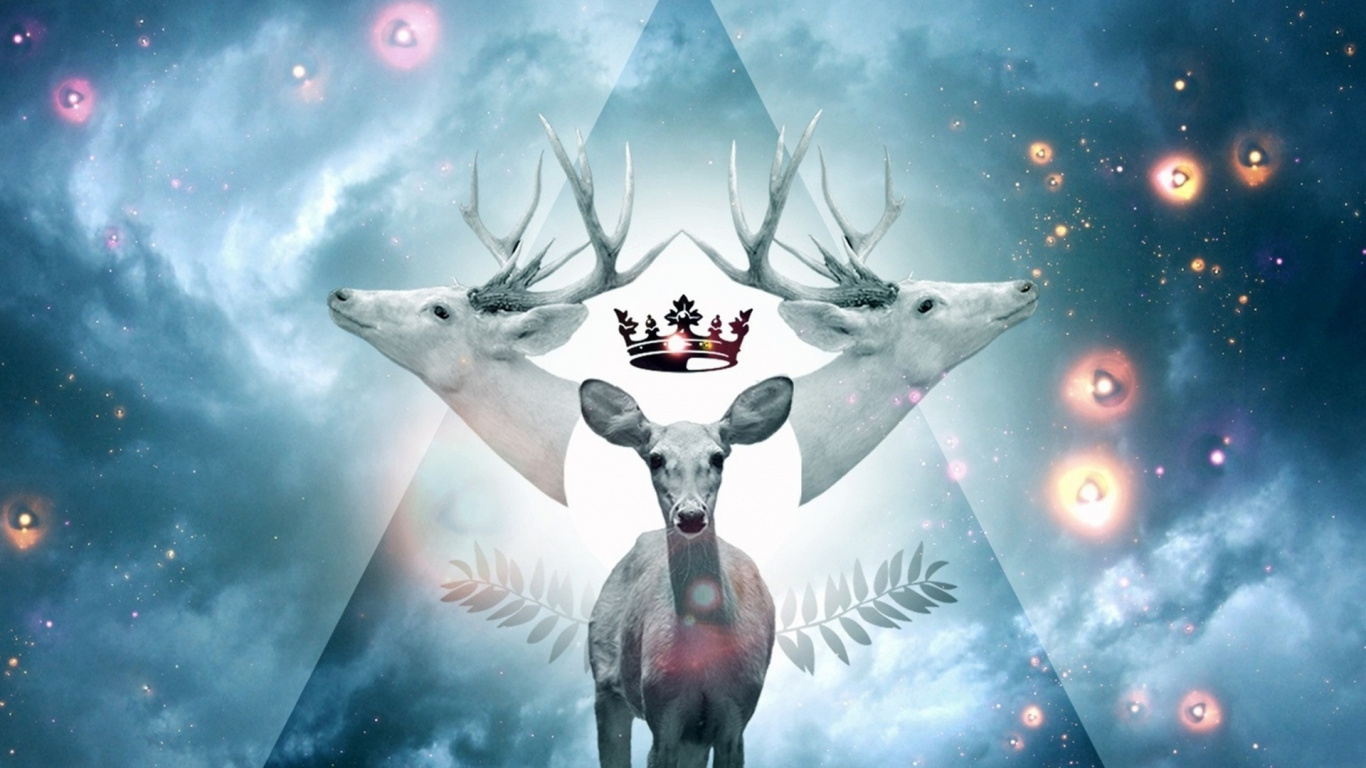 Deux Dauphins Gris Sur L'eau. Wallpaper in 1366x768 Resolution