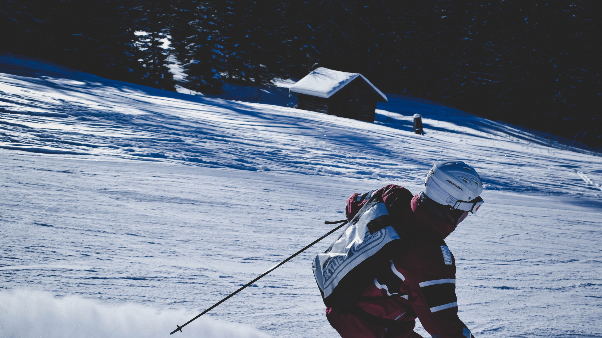 Homme en Veste Rouge et Noire et Pantalon Noir Équitation Des Lames de Ski Sur Sol Couvert de Neige. Wallpaper in 2560x1440 Resolution
